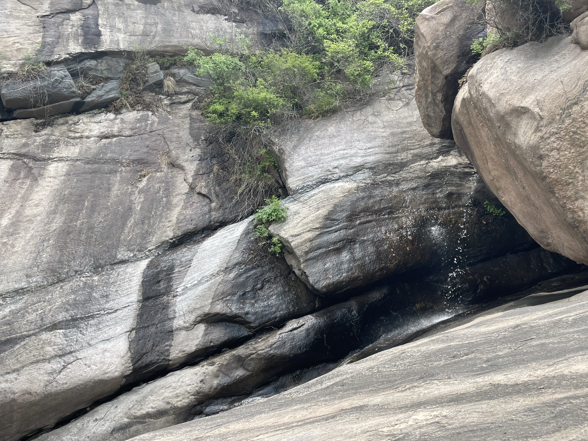 藤龙山景区(暂停开放)旅行图片 3