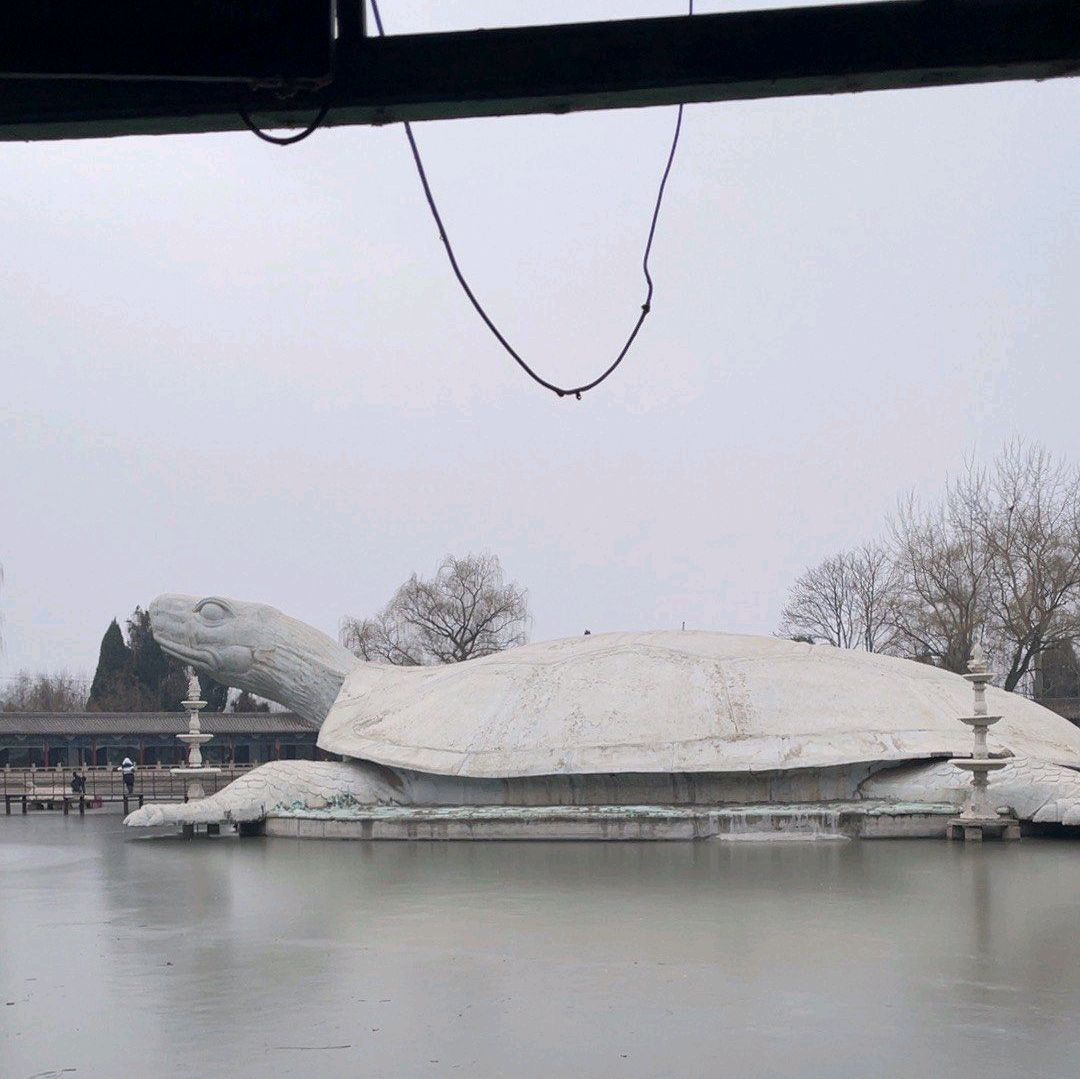 东方巨龟苑旅行图片 2