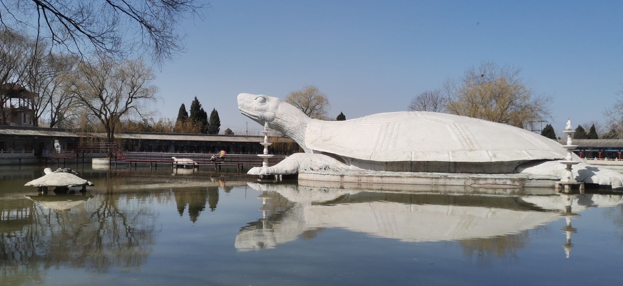 东方巨龟苑旅行图片 3