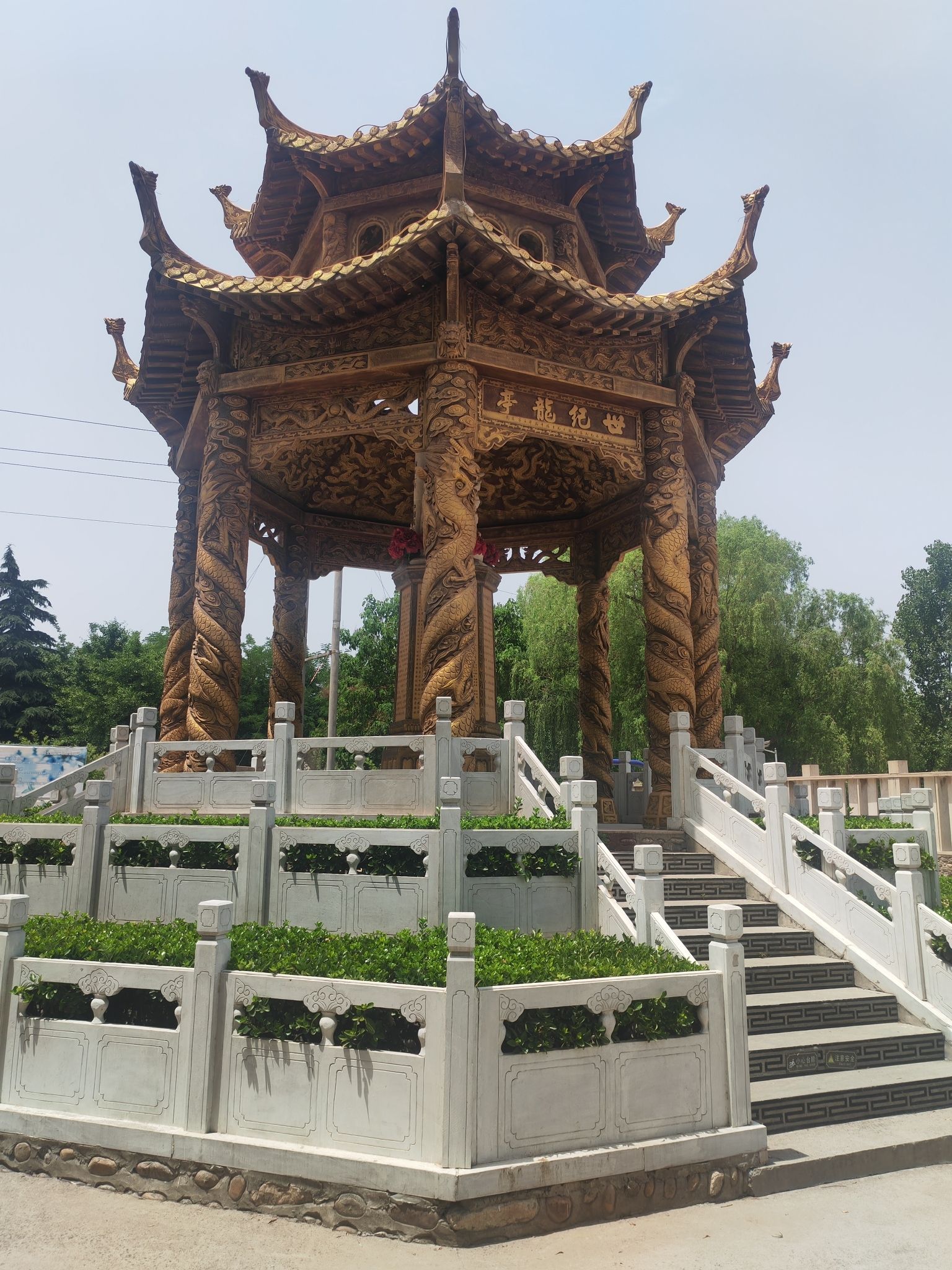 东方巨龟苑旅行图片 2
