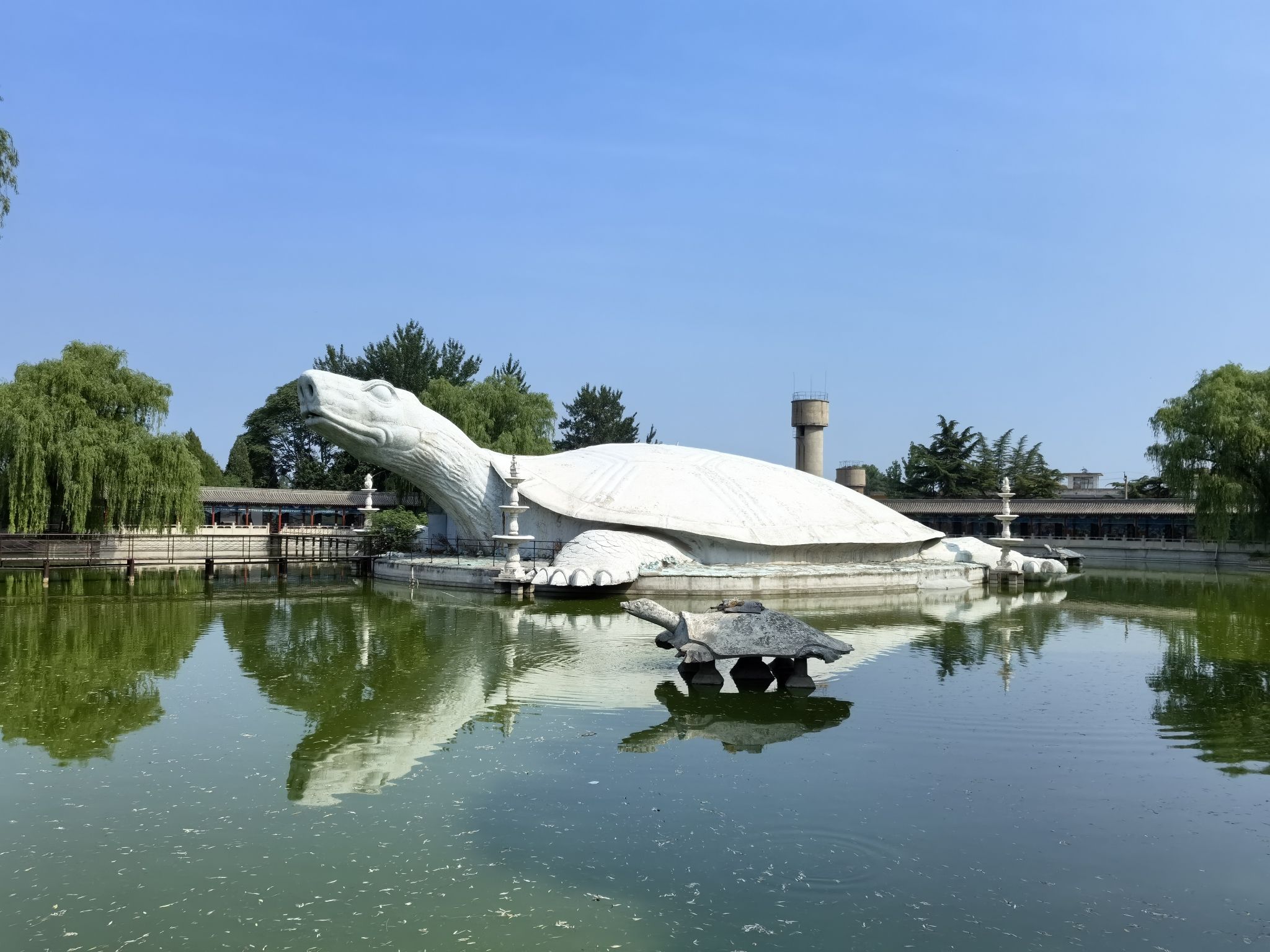 东方巨龟苑旅行图片 2