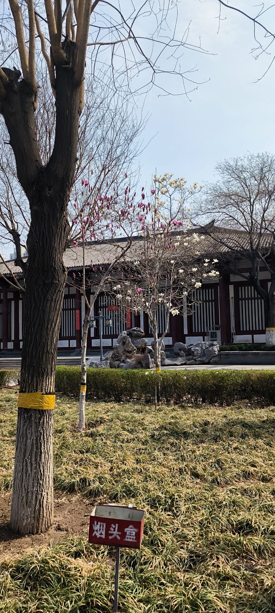 石家庄市赵佗公园旅行图片 1