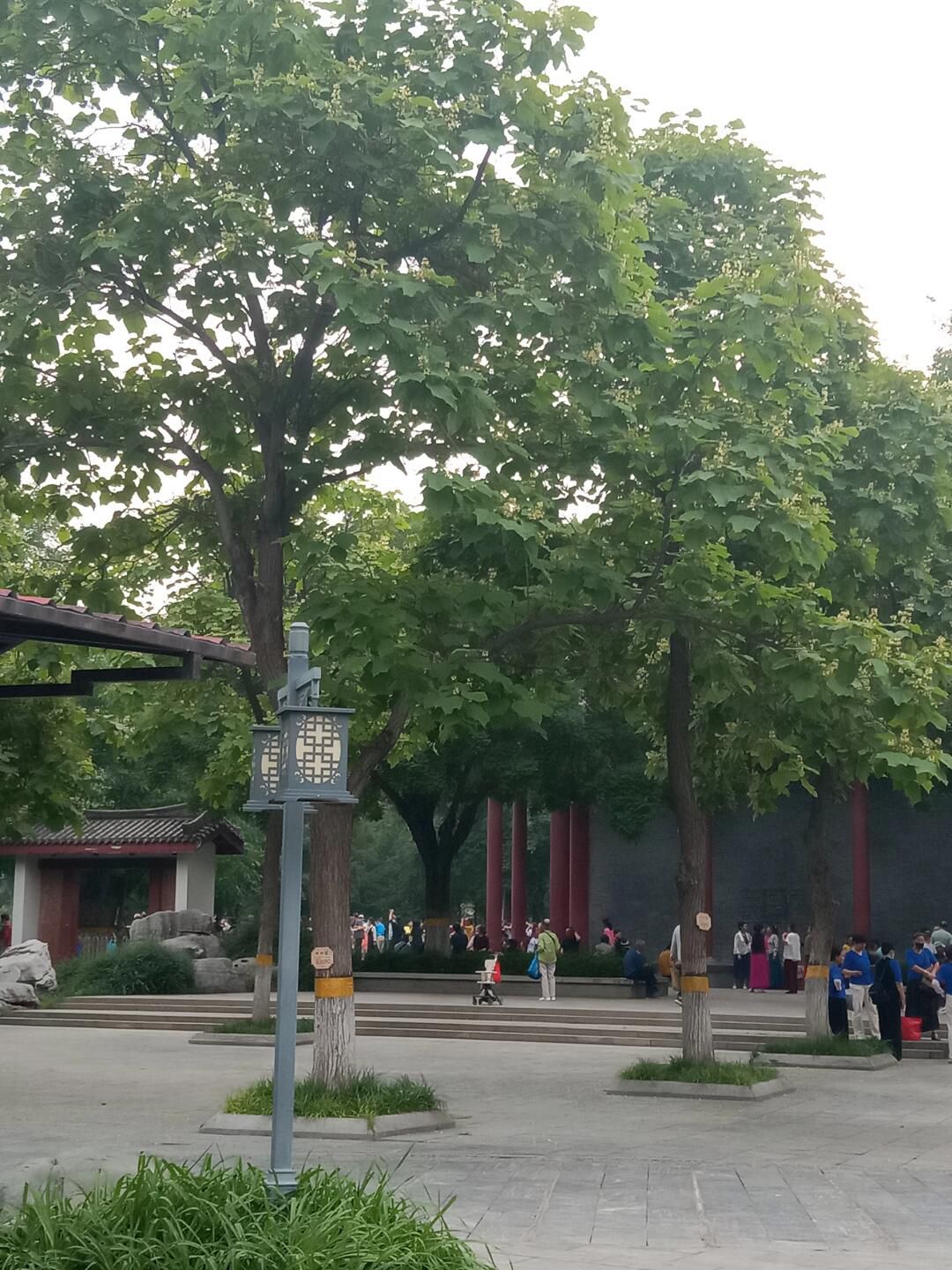 石家庄市赵佗公园旅行图片 1