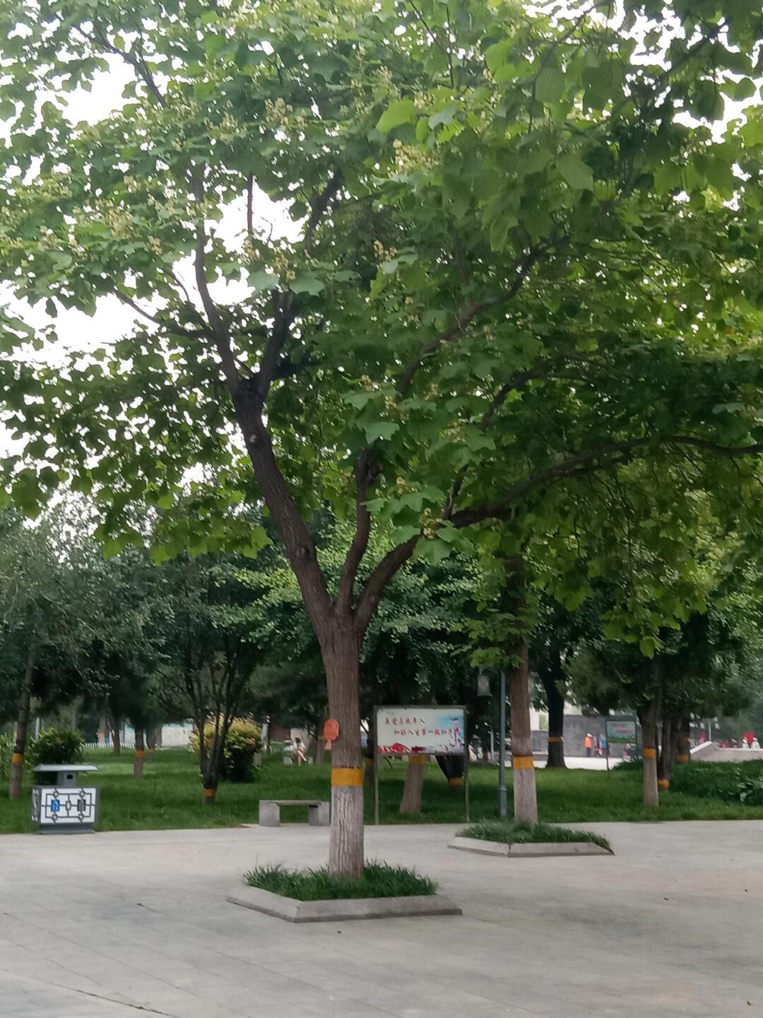 石家庄市赵佗公园旅行图片 2