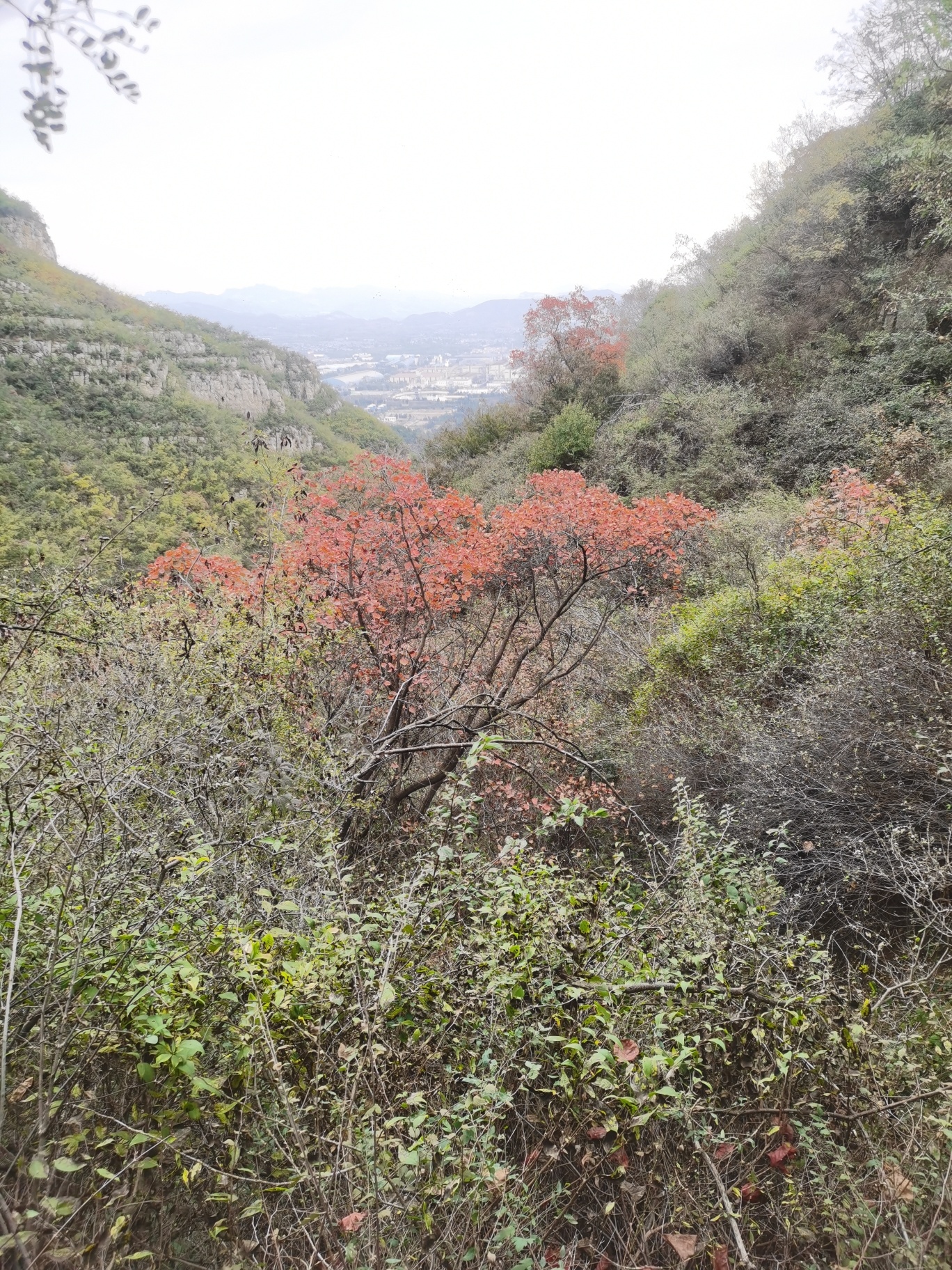 清凉山旅行图片 1