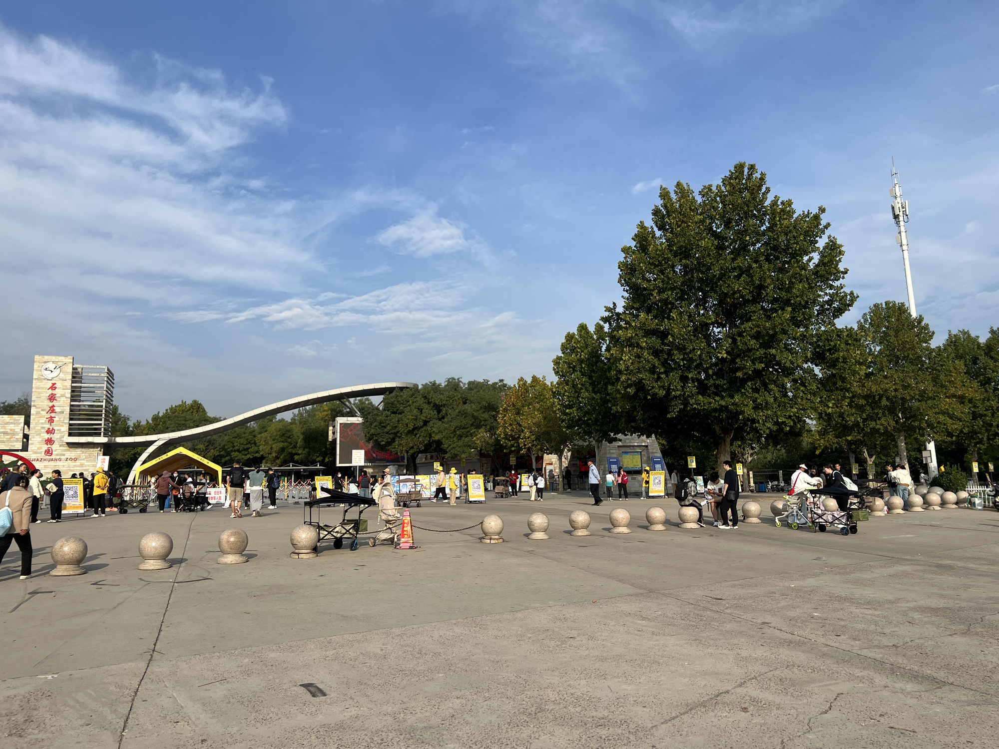 石家庄市动物园旅行图片 2