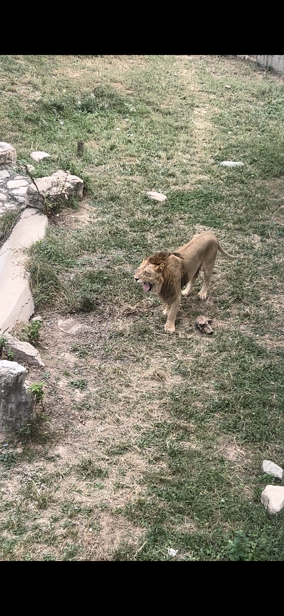 石家庄市动物园旅行图片 3