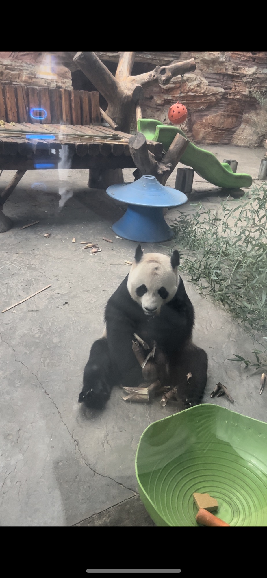 石家庄市动物园旅行图片 1