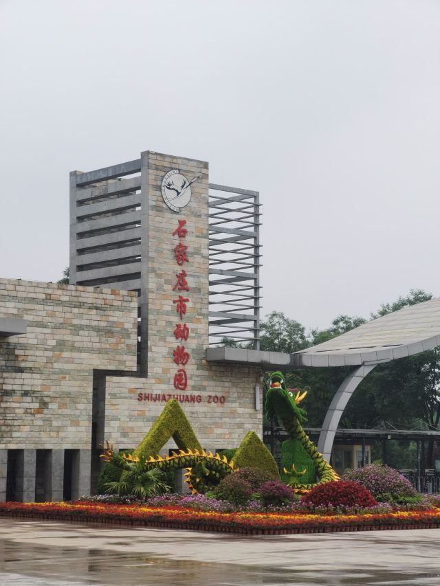 石家庄市动物园旅行图片 1