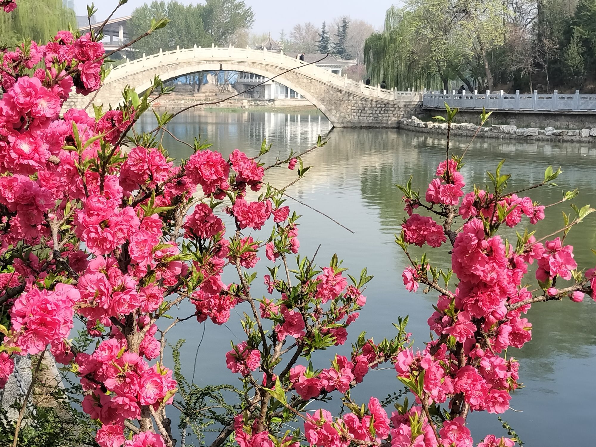 裕西公园旅行图片 2