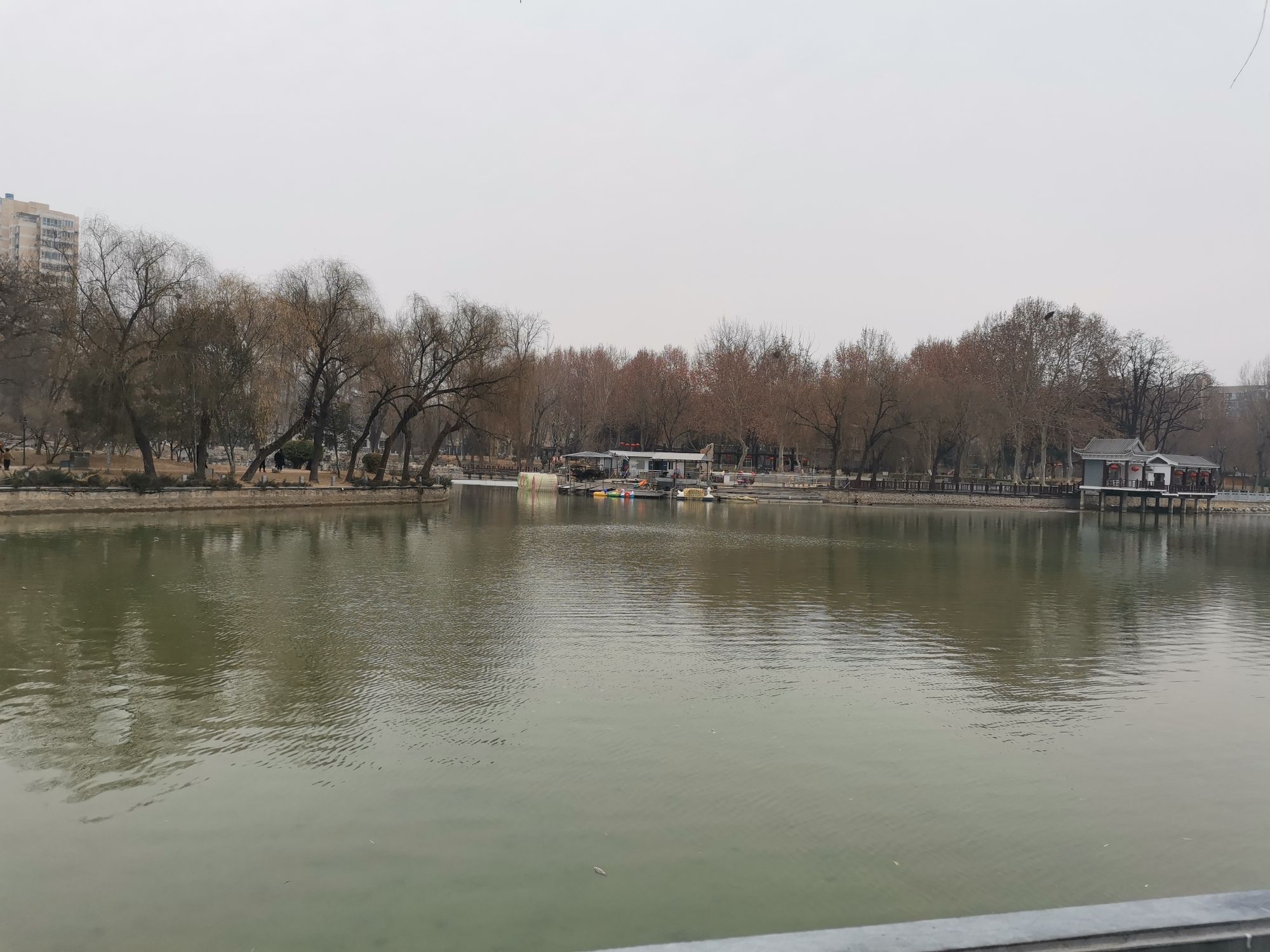 裕西公园旅行图片 1