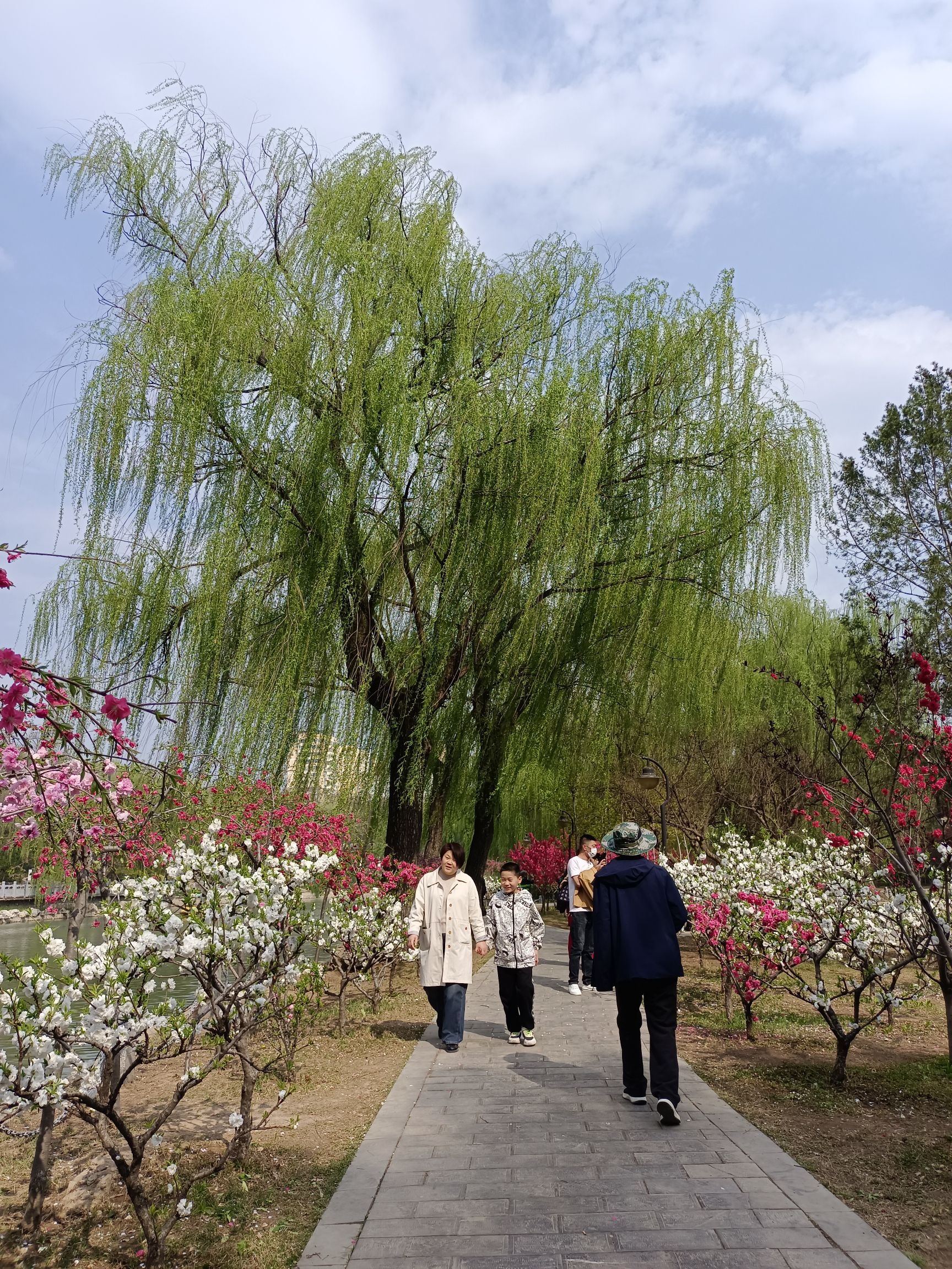 裕西公园旅行图片 3