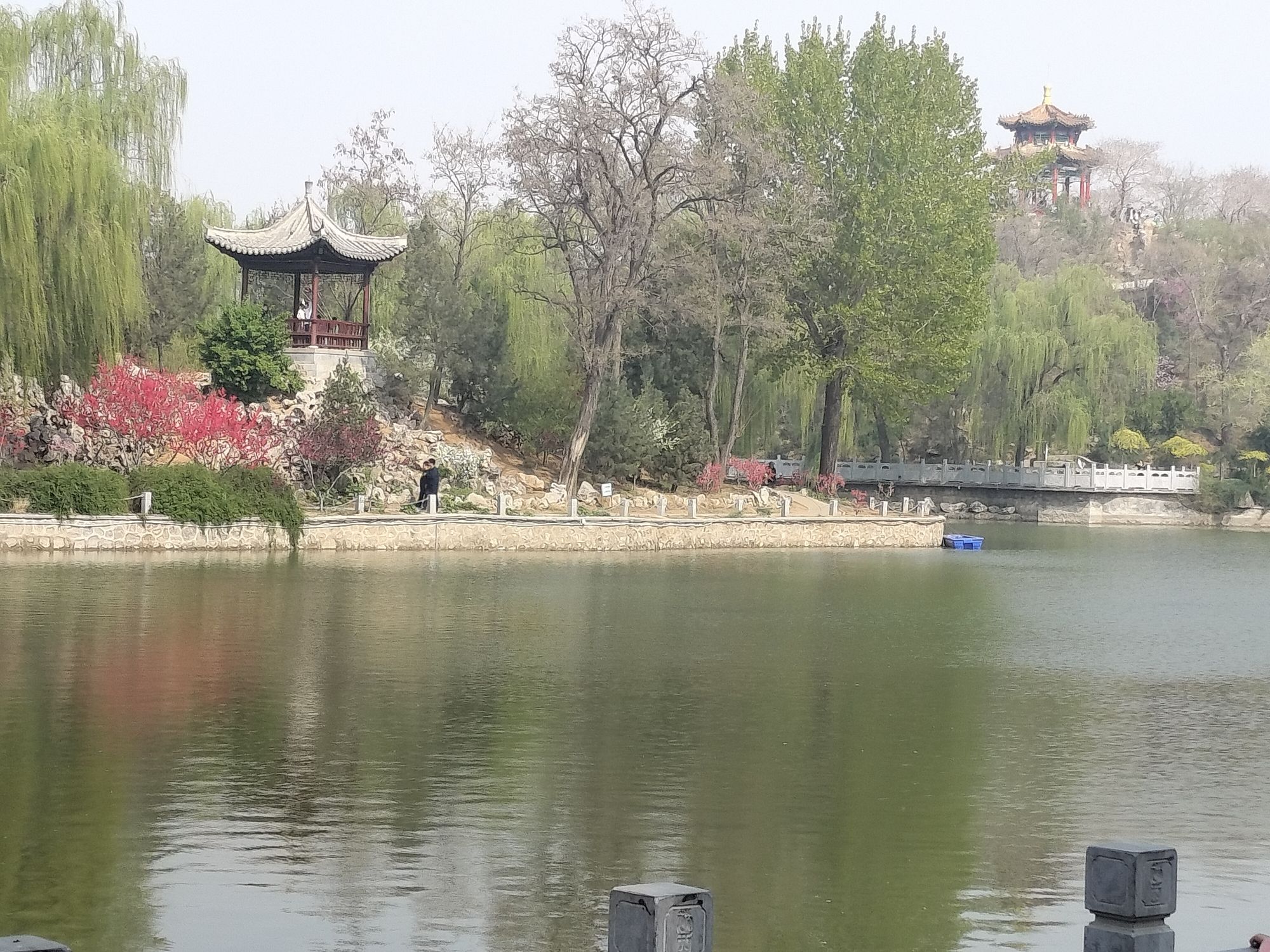 裕西公园旅行图片 1