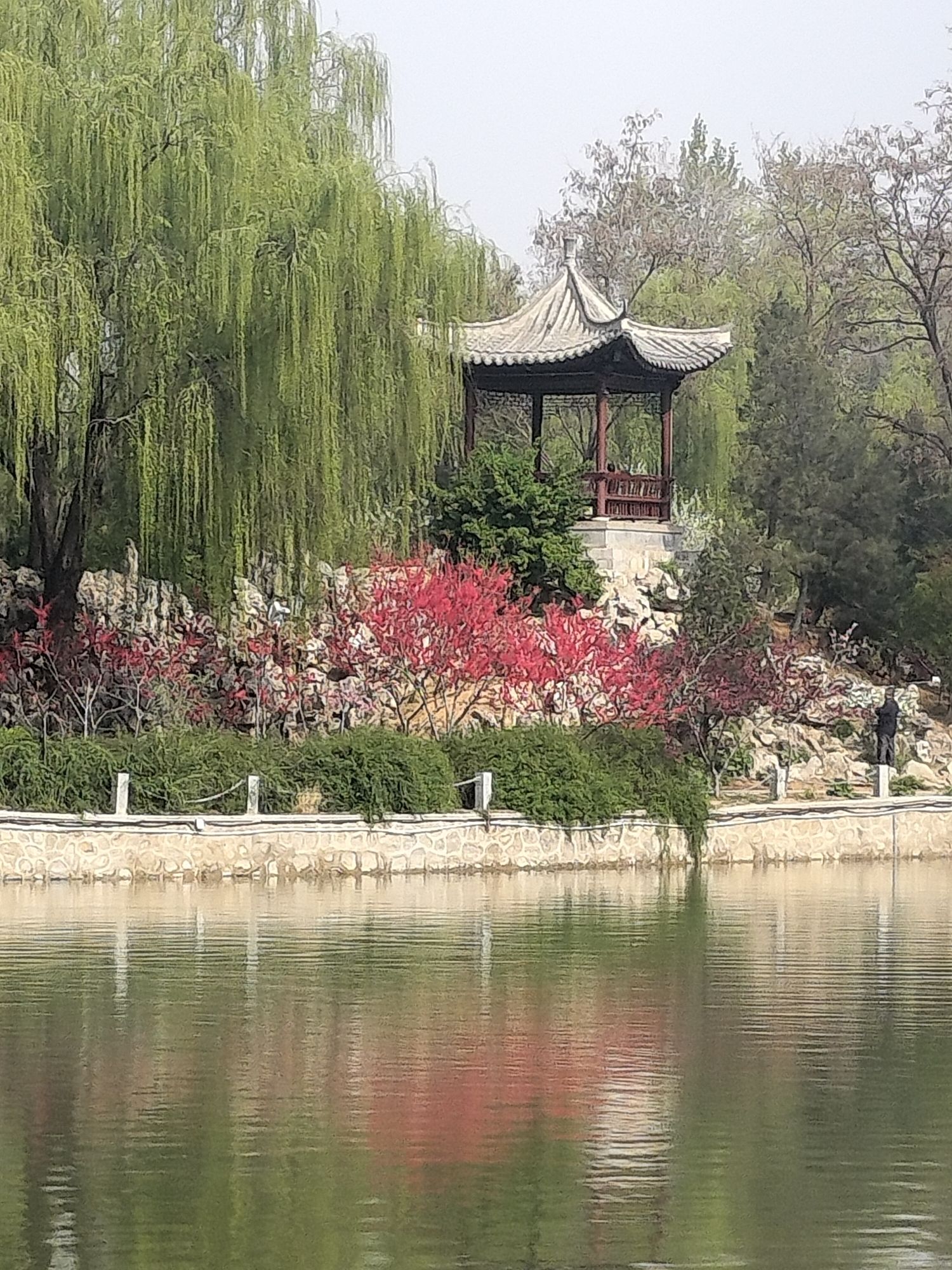 裕西公园旅行图片 3