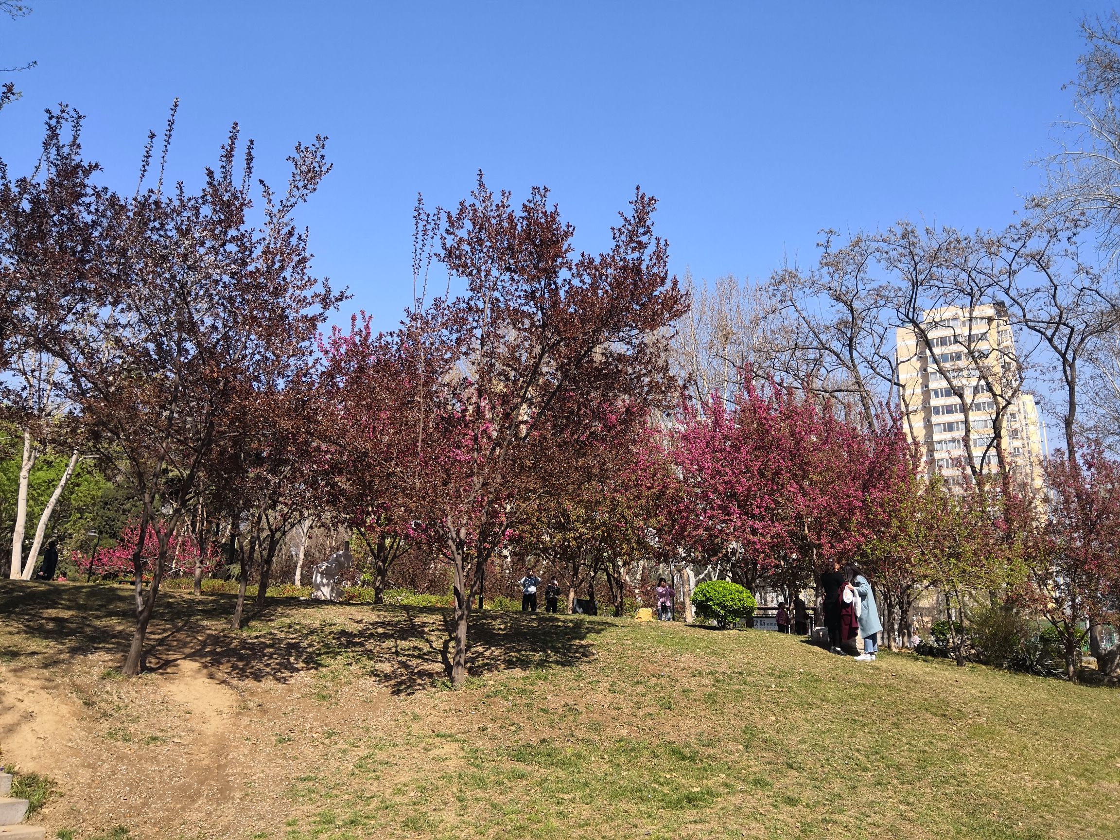 裕西公园旅行图片 1