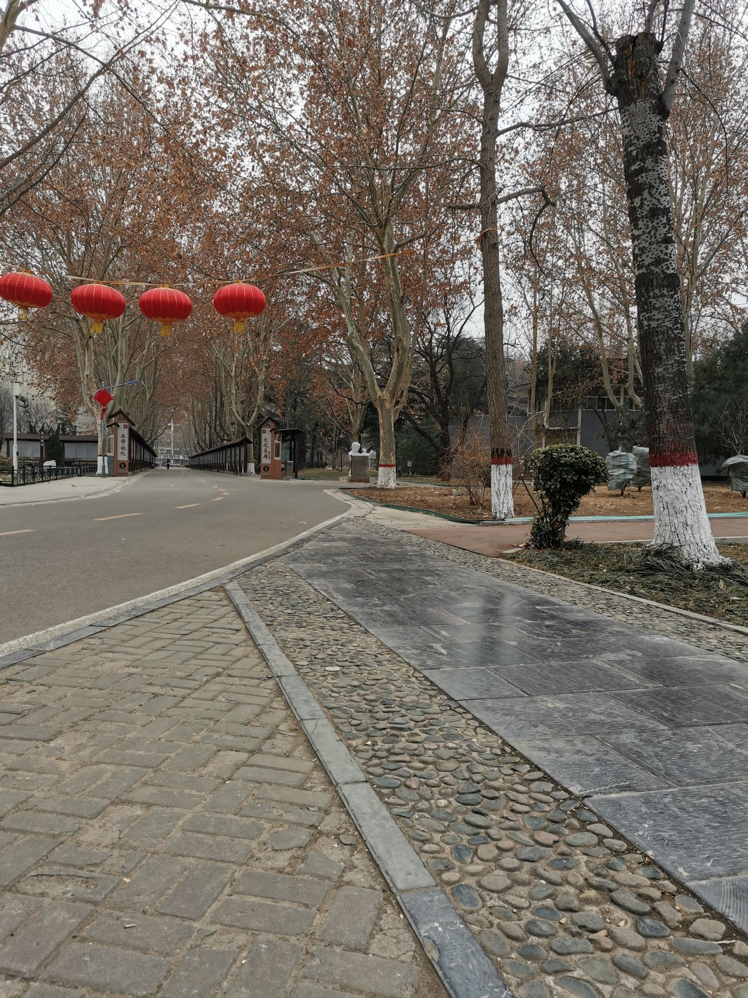 裕西公园旅行图片 2