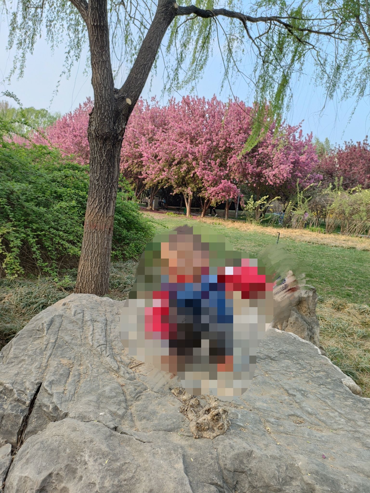 石太公园旅行图片 1