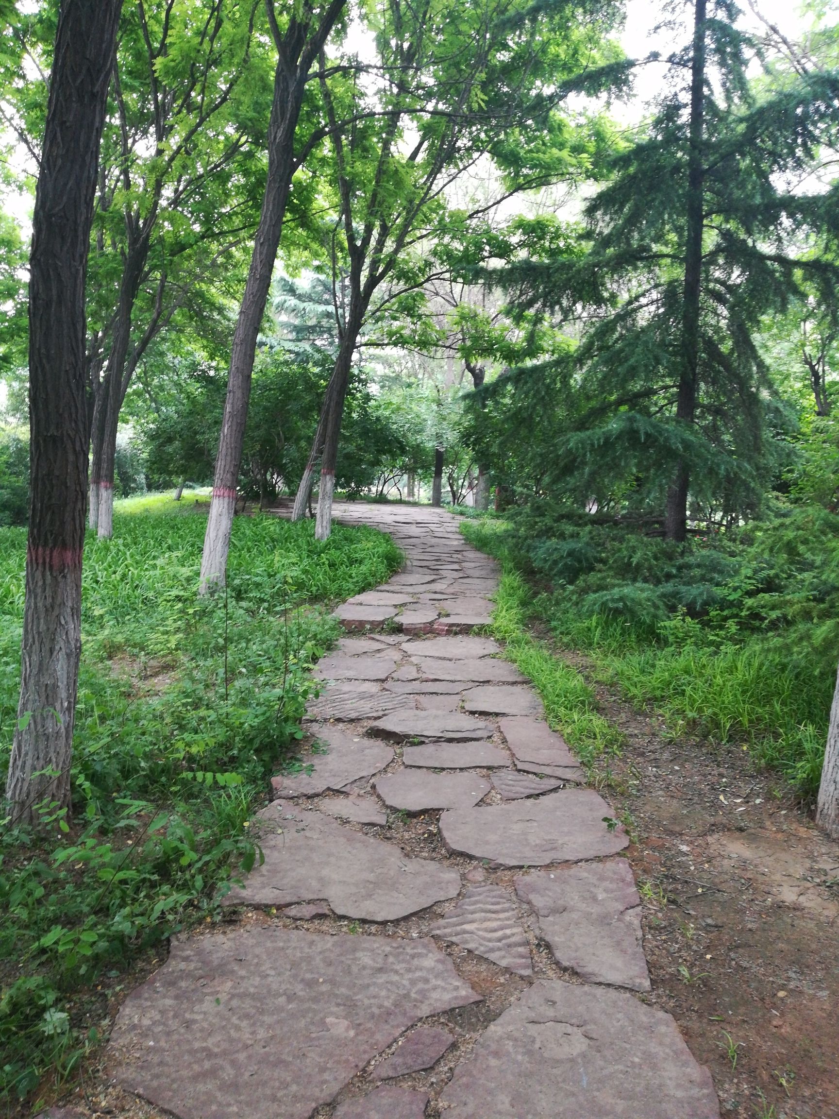 石太公园旅行图片 3