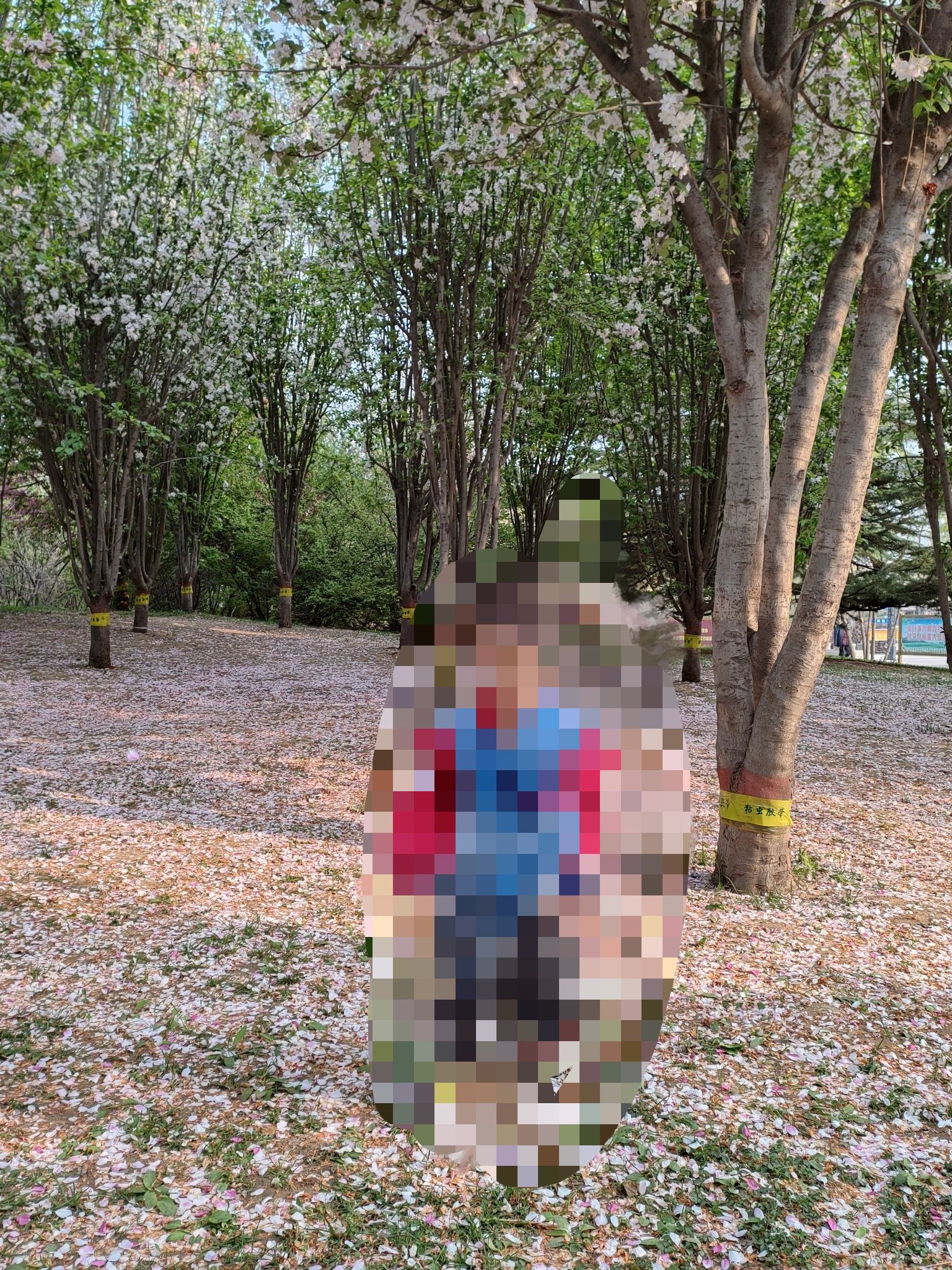 石太公园旅行图片 2