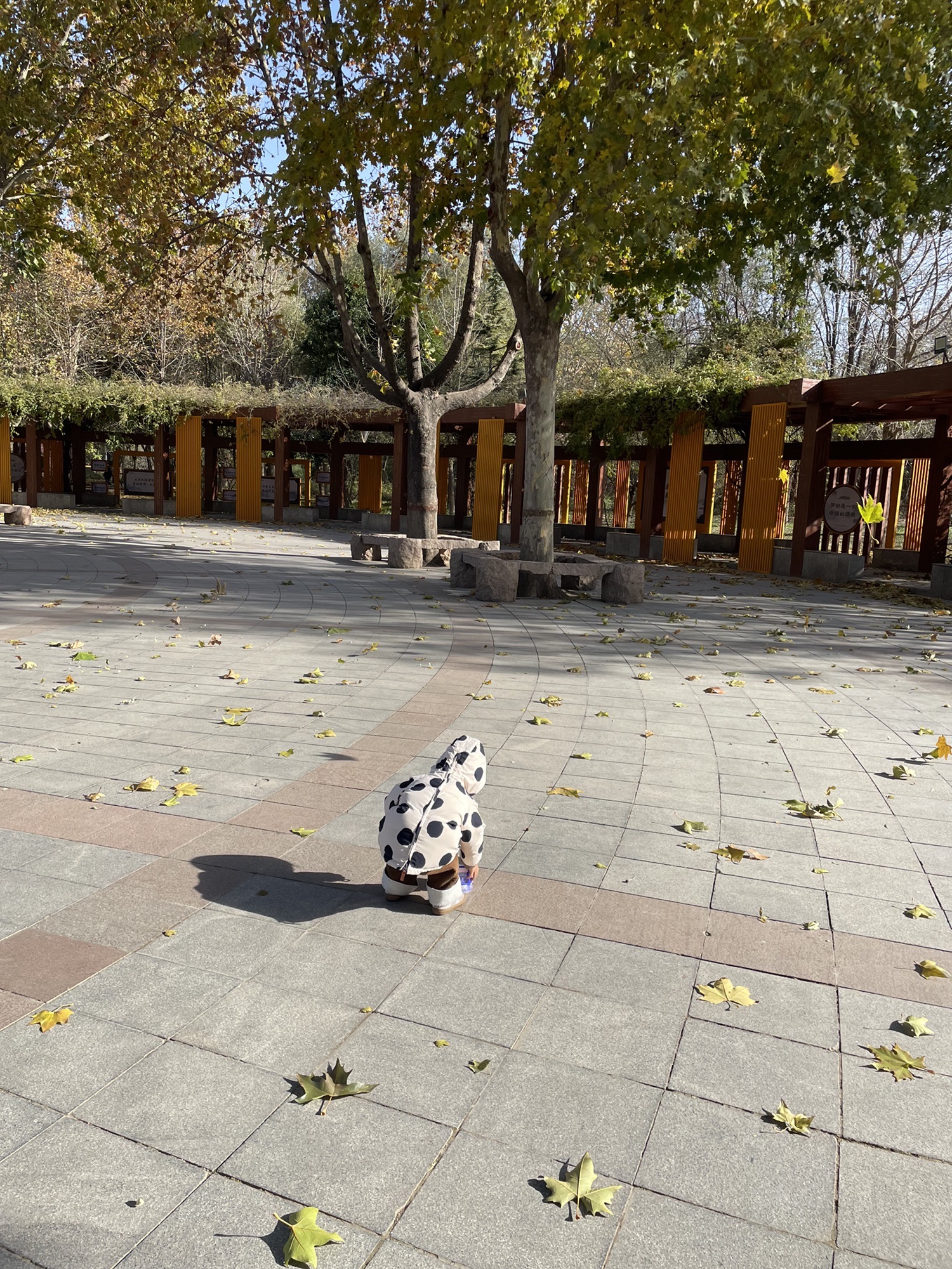 石太公园旅行图片 2