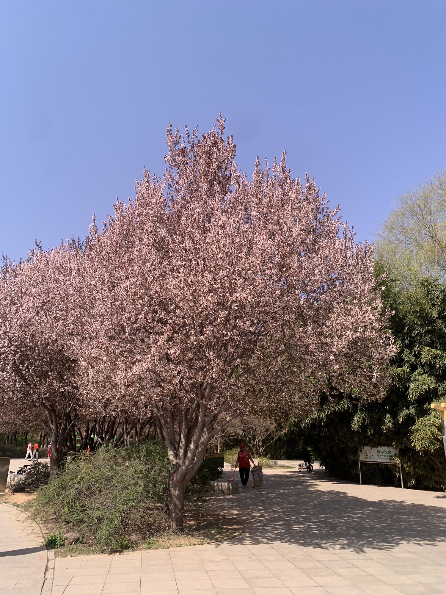 石太公园旅行图片 3