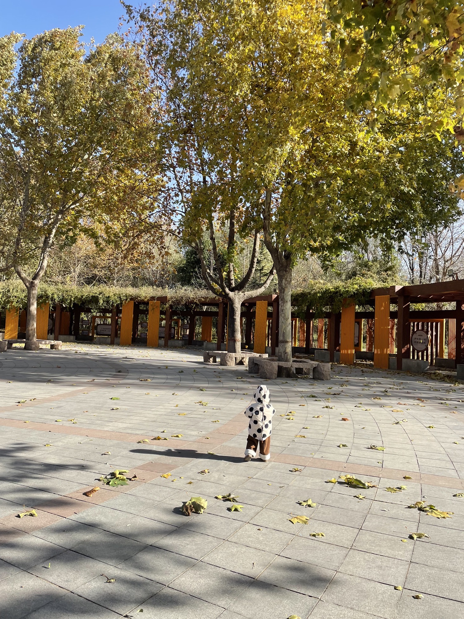 石太公园旅行图片 3