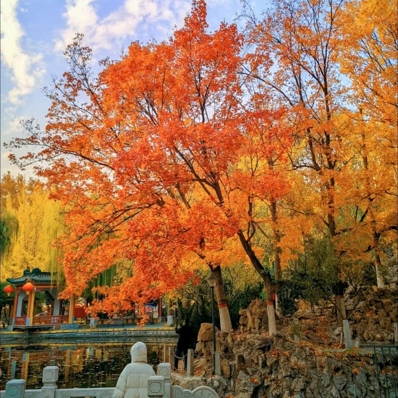 平安公园旅行图片 3
