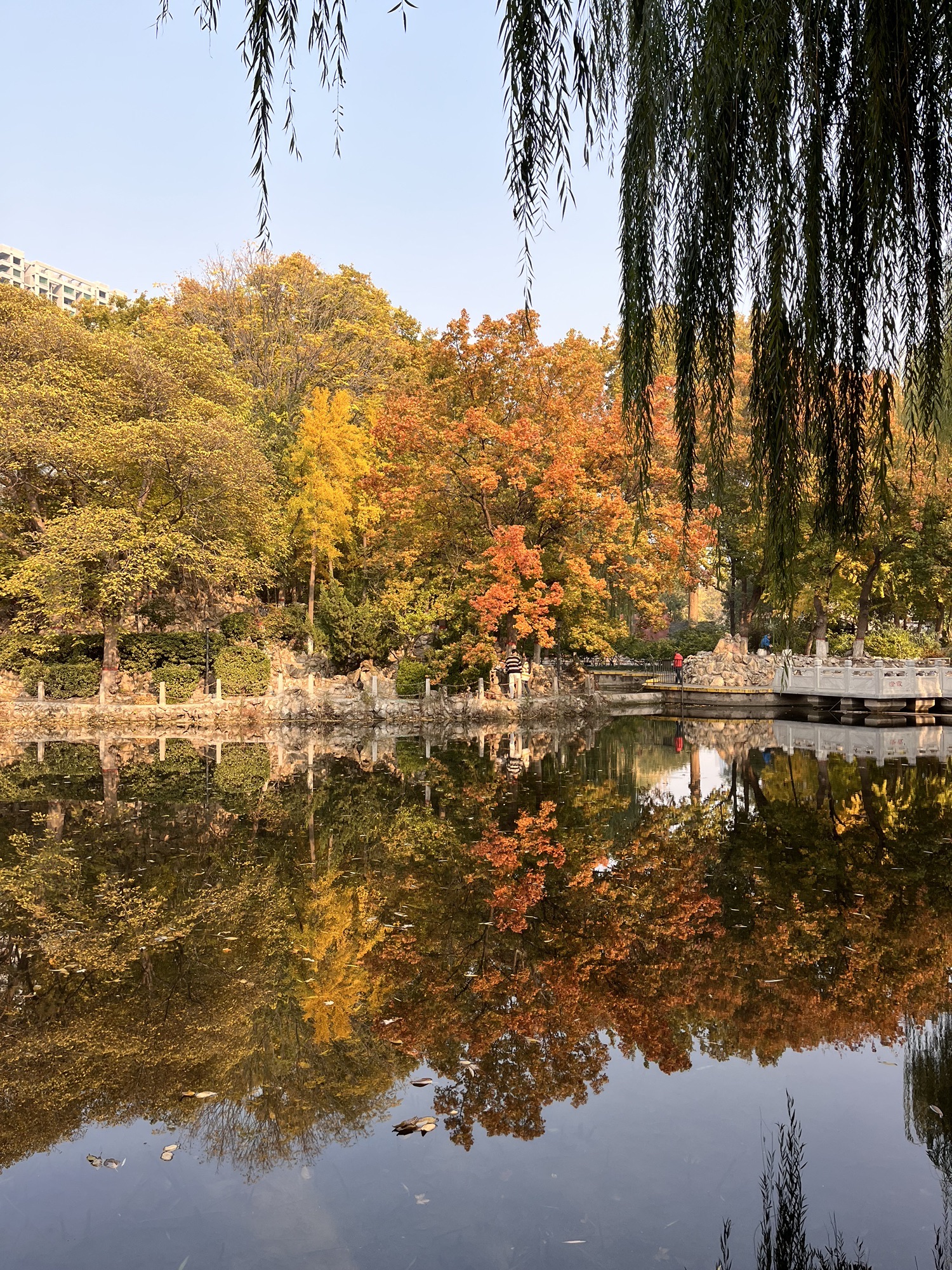 平安公园旅行图片 2