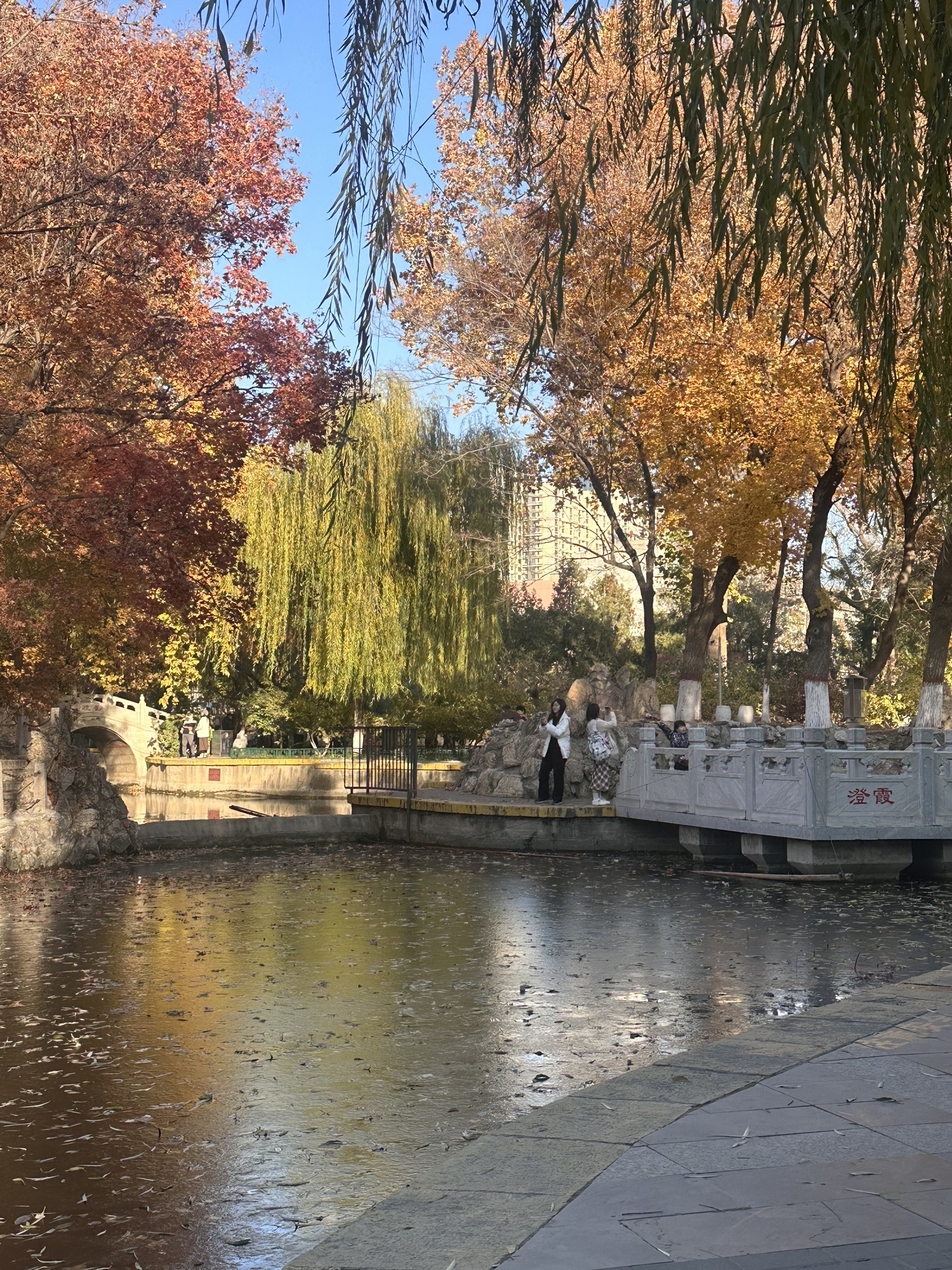 平安公园旅行图片 3