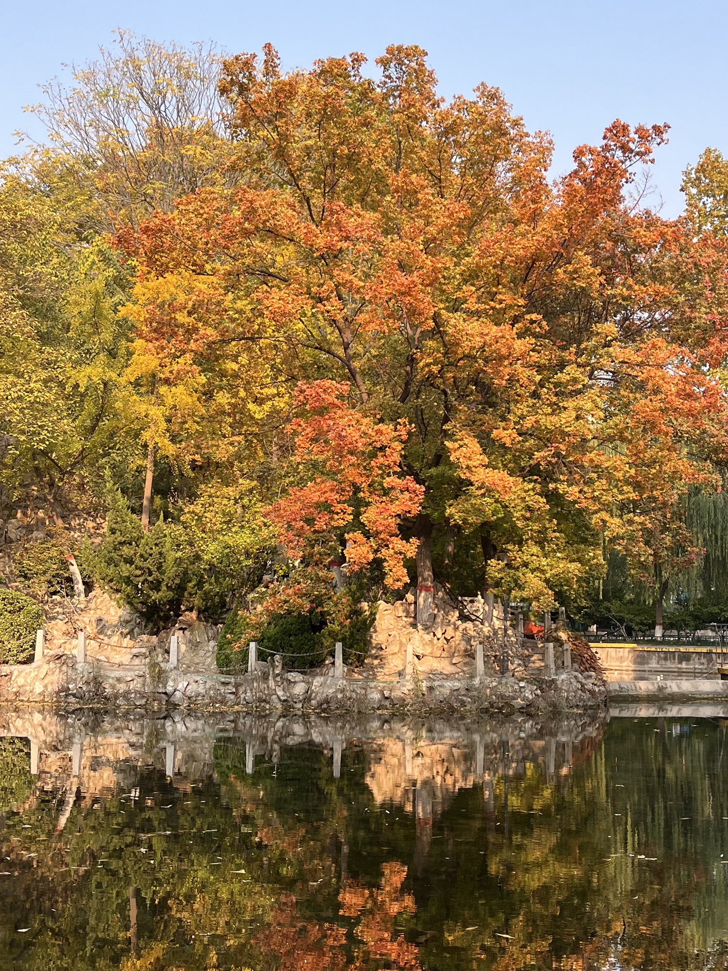 平安公园旅行图片 1