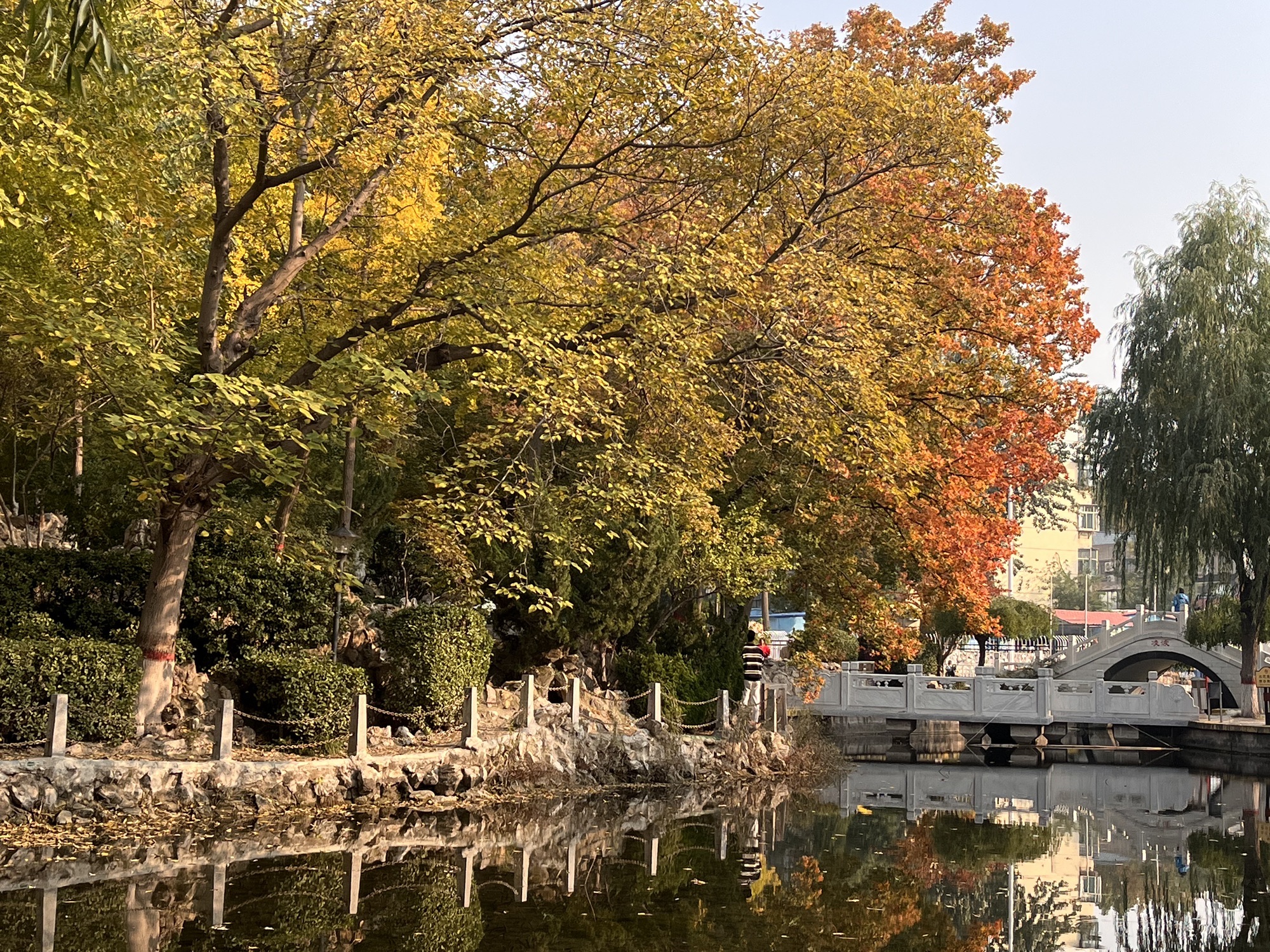 平安公园旅行图片 3