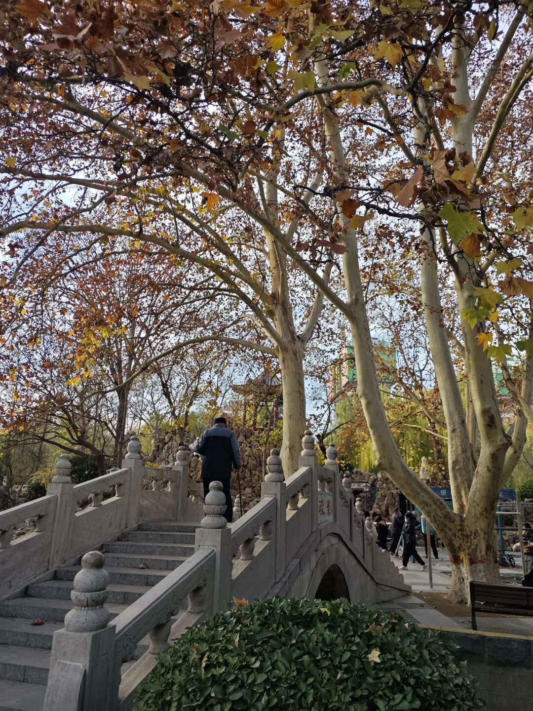 平安公园旅行图片 3