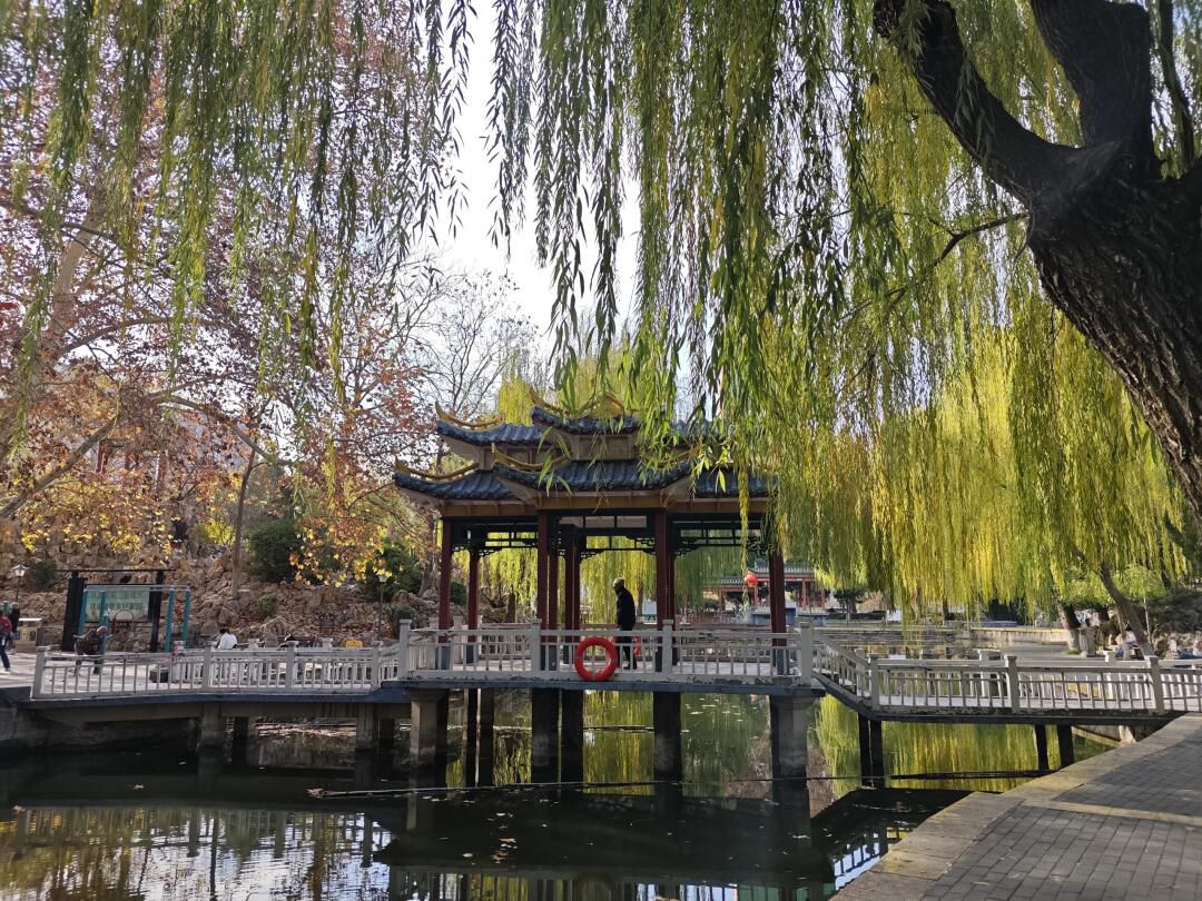 平安公园旅行图片 2