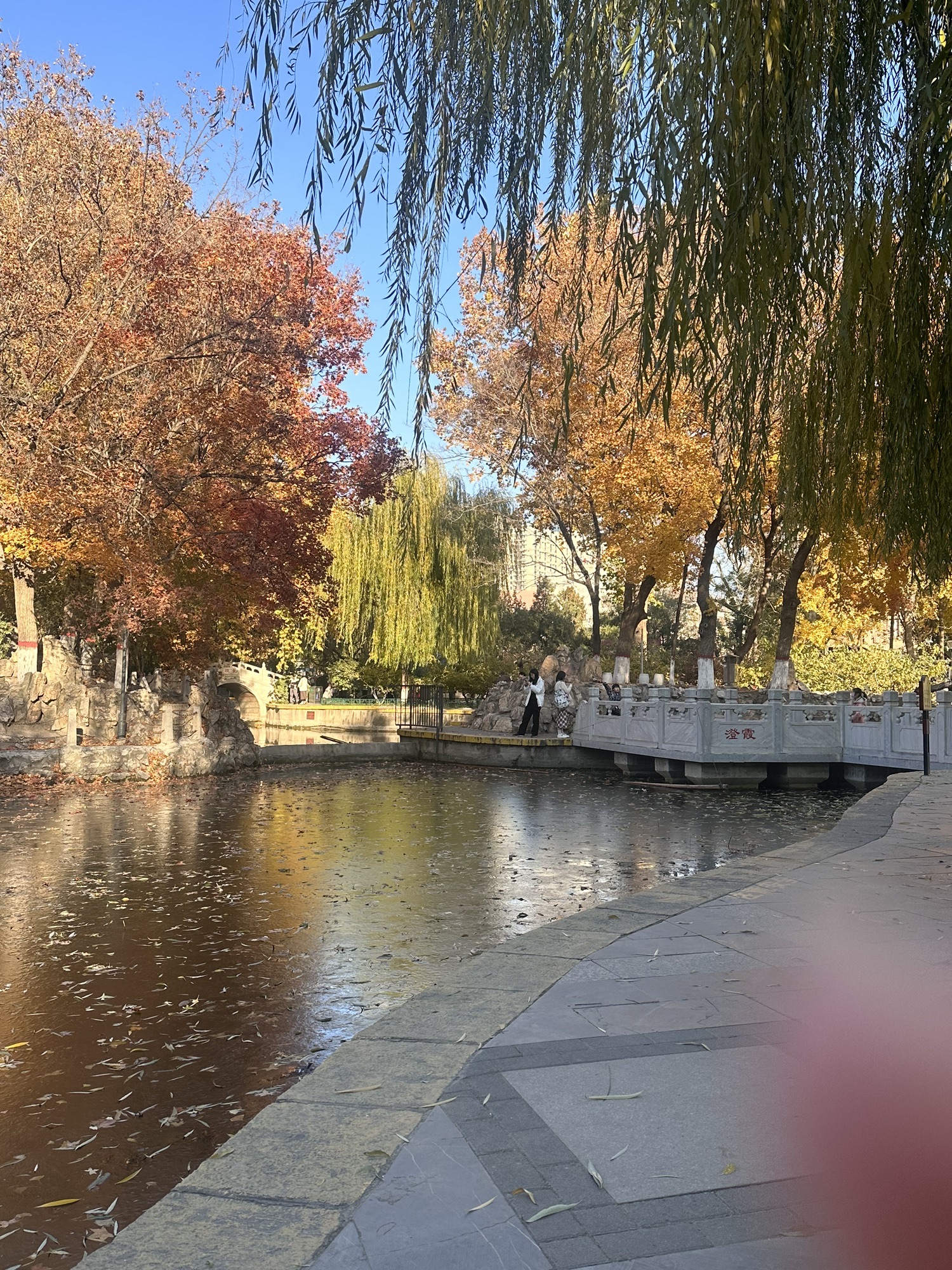 平安公园旅行图片 1