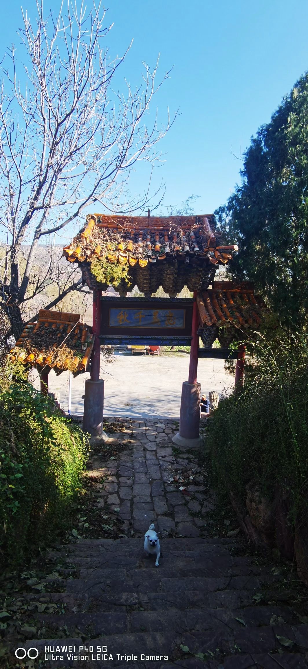 孤山风景区旅行图片 2