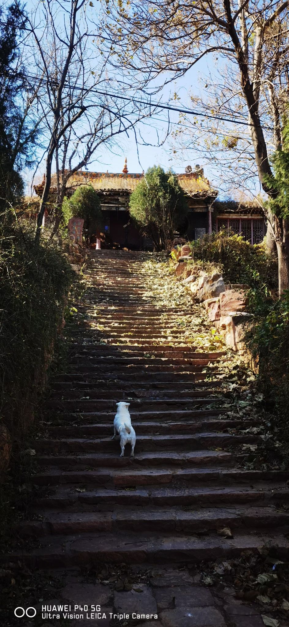 孤山风景区旅行图片 1