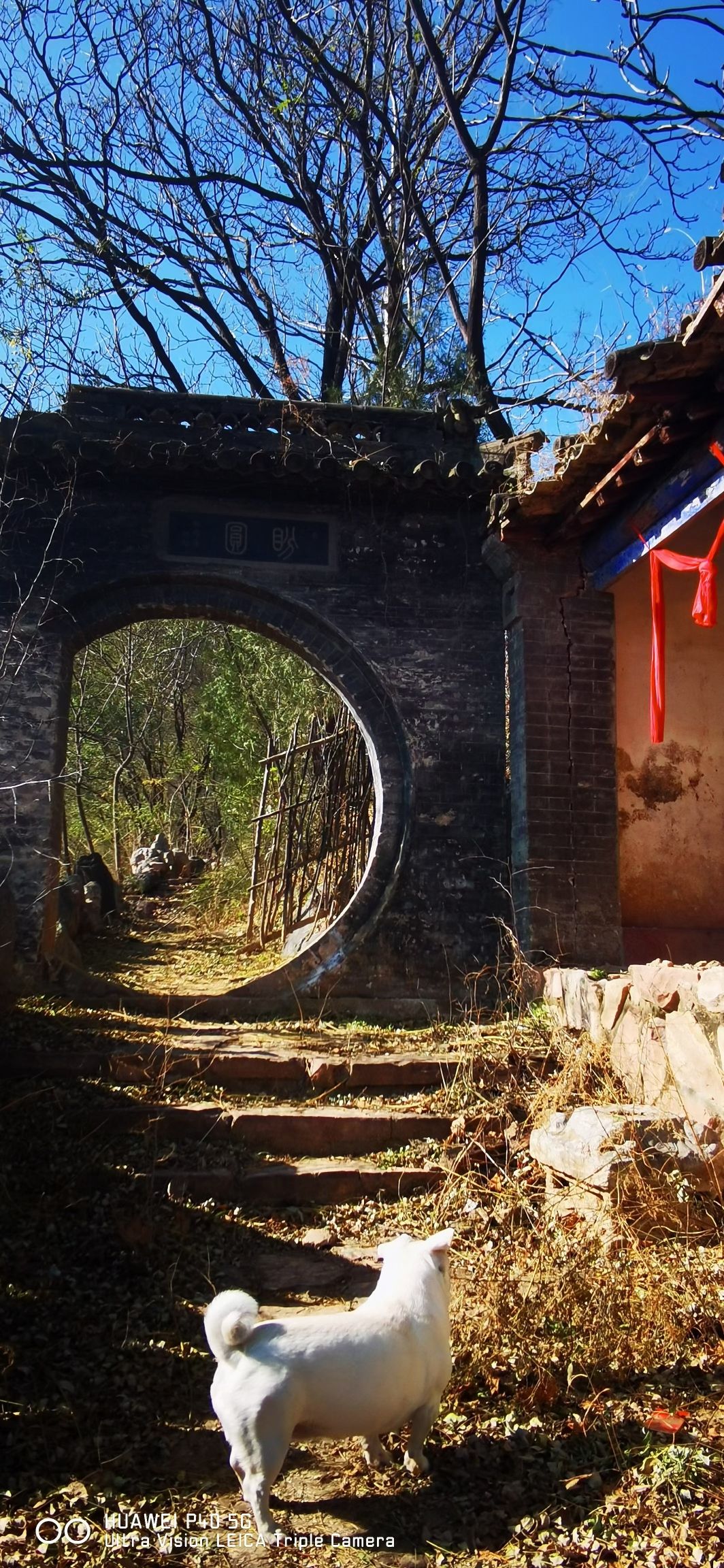 孤山风景区旅行图片 3