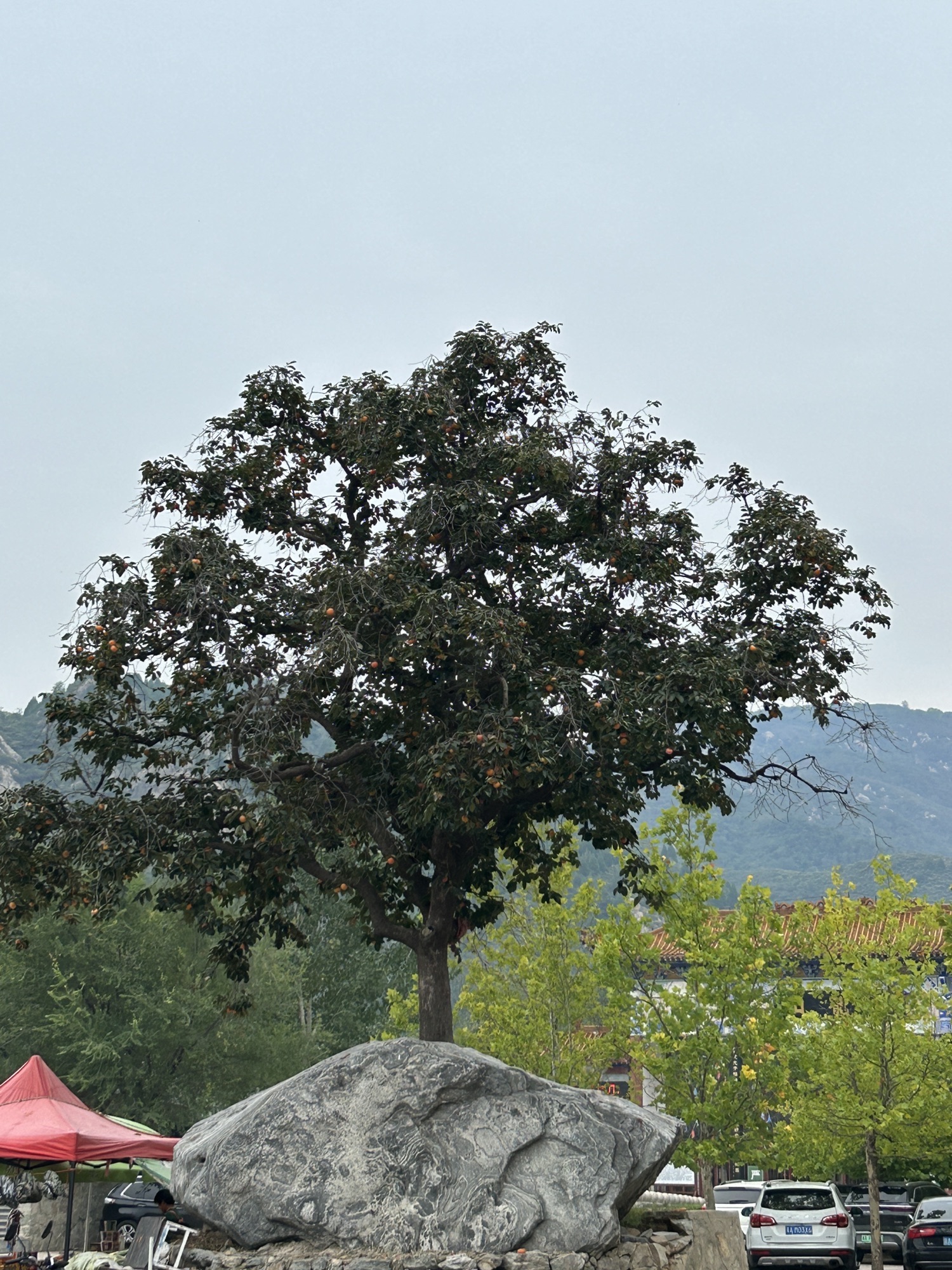 封龙山风景区旅行图片 1