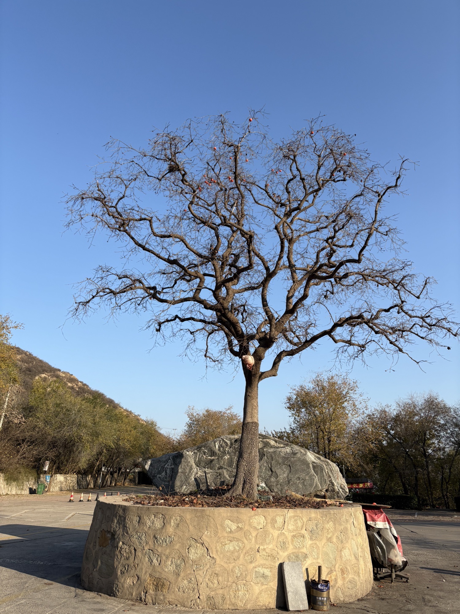 封龙山风景区旅行图片 3