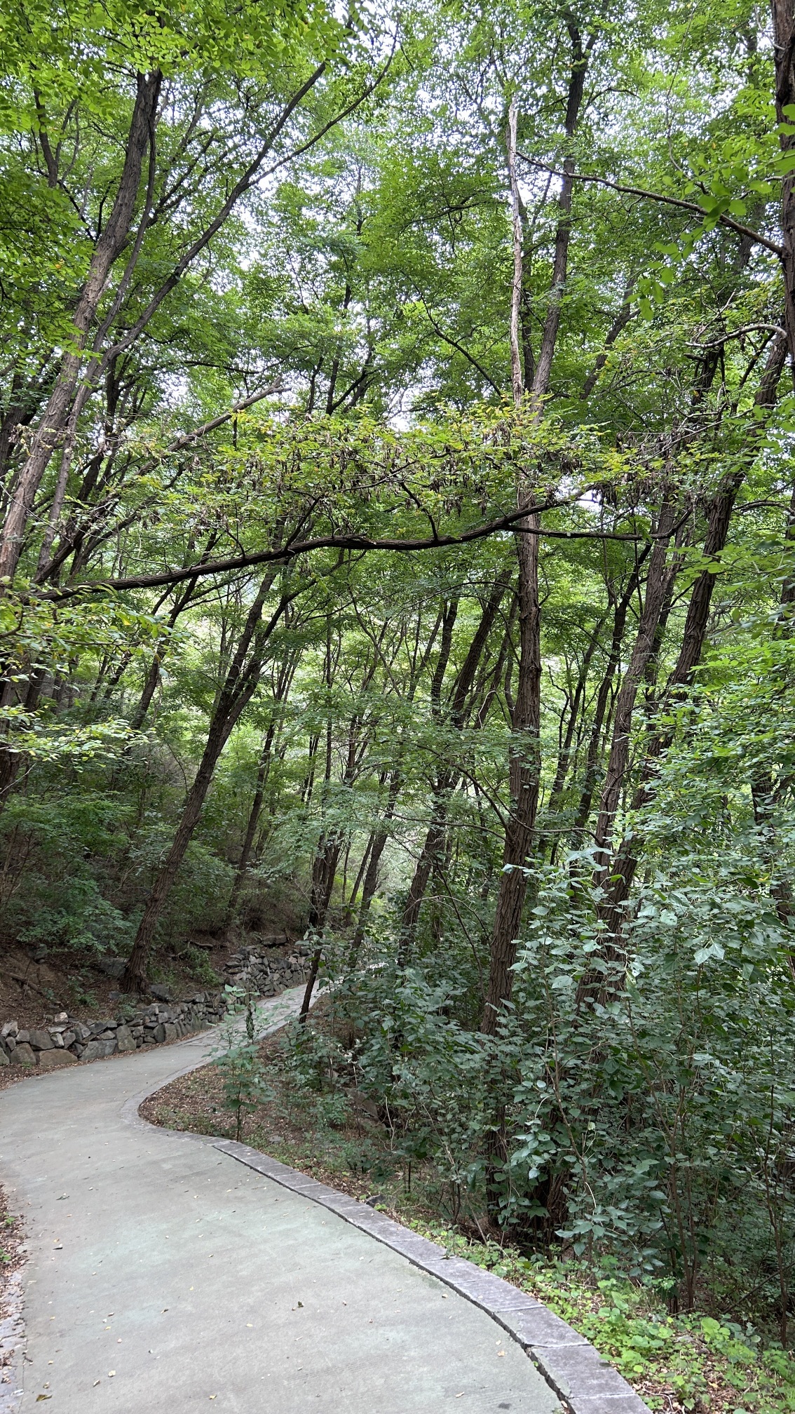 封龙山风景区旅行图片 2