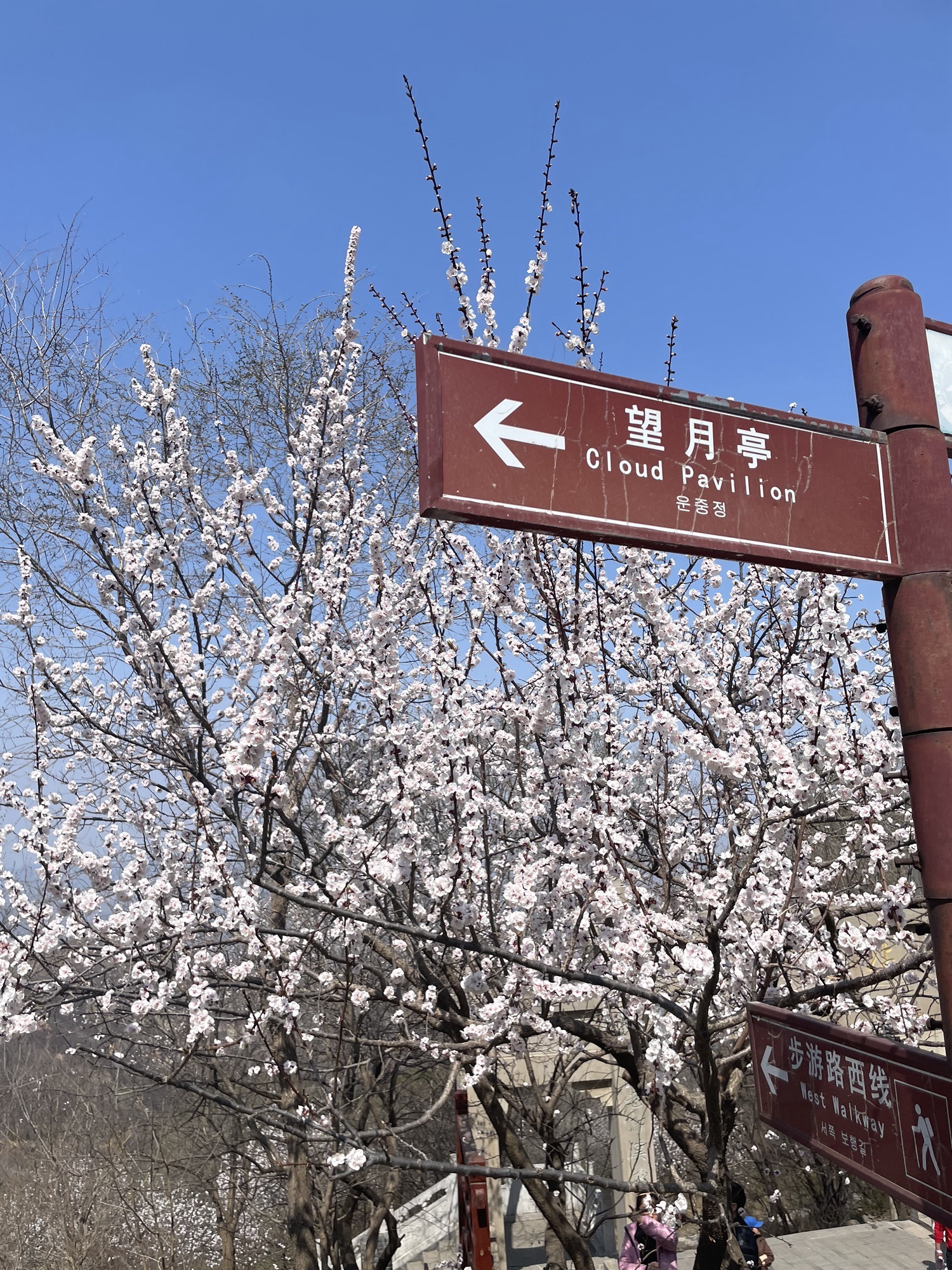 封龙山风景区旅行图片 2