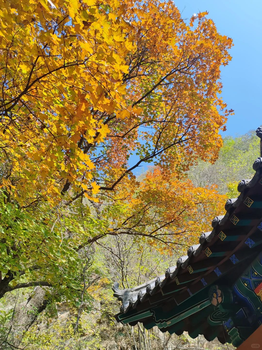 石家庄天桂山风景名胜区旅行图片 2