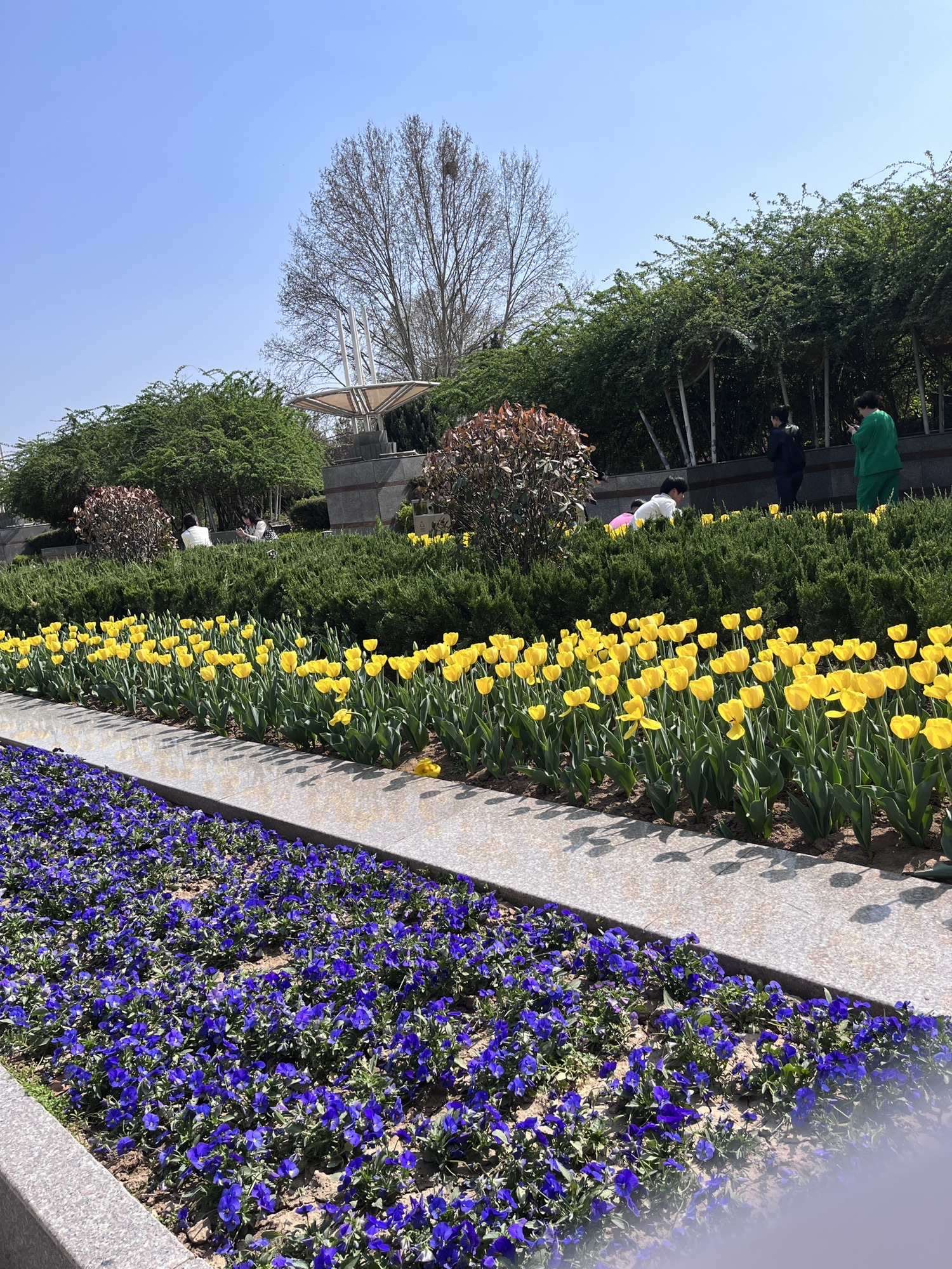 石家庄植物园旅行图片 3