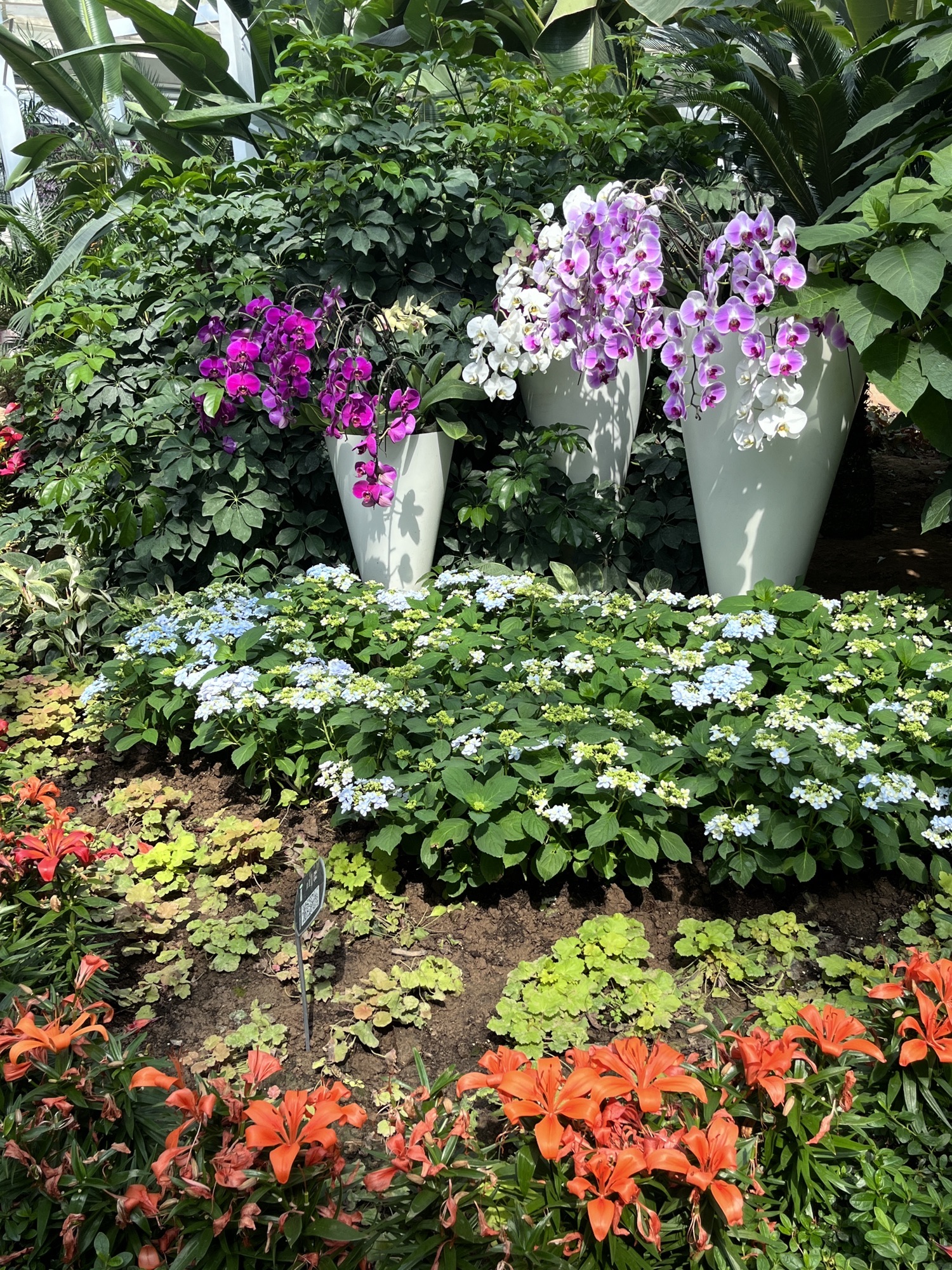 石家庄植物园旅行图片 1