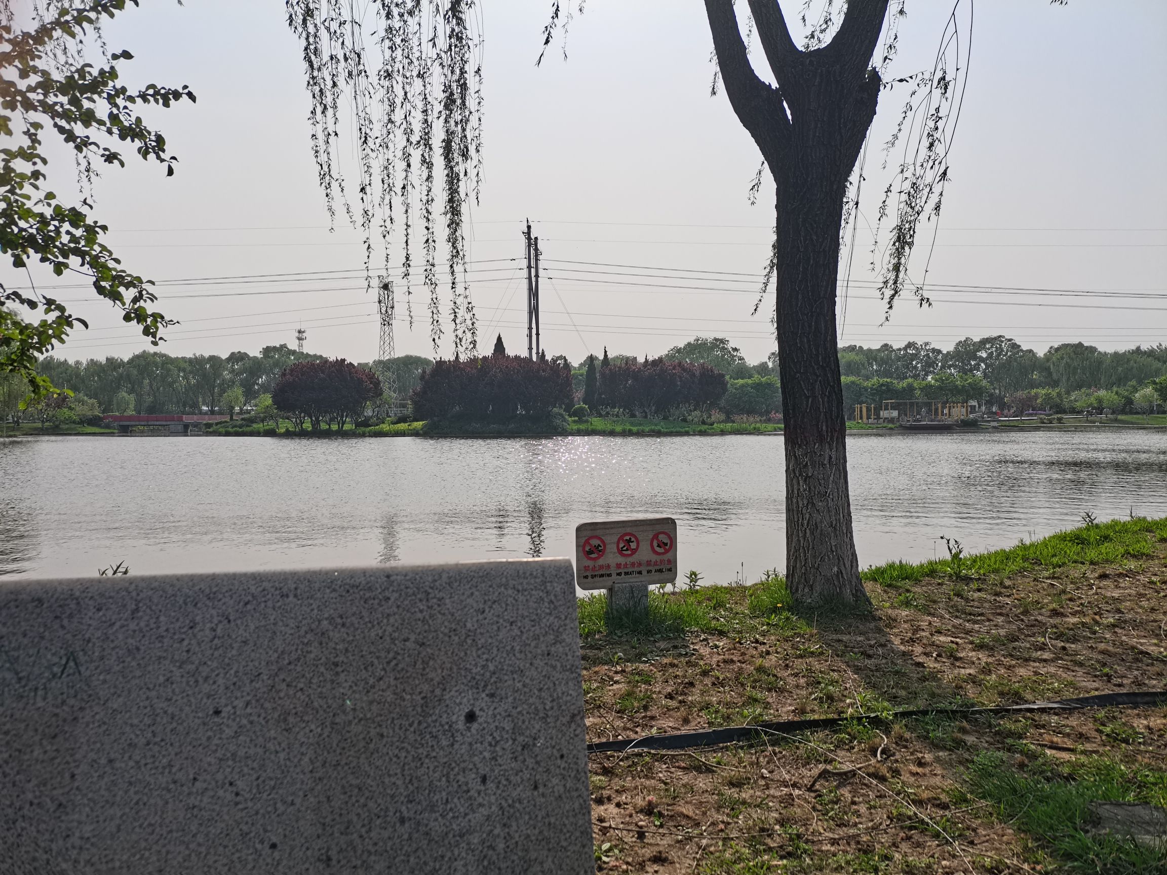 石家庄植物园旅行图片 2