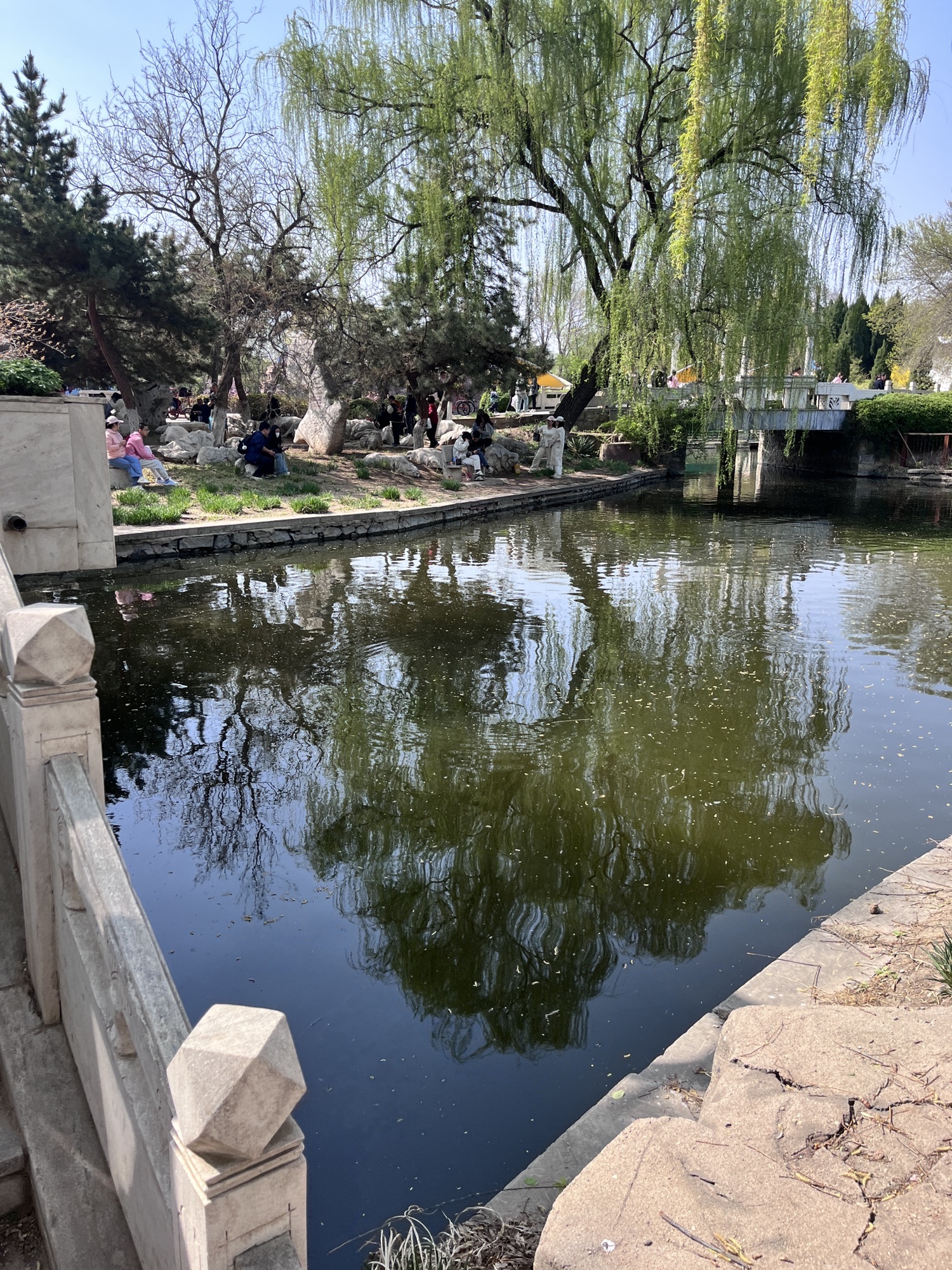 石家庄植物园旅行图片 2