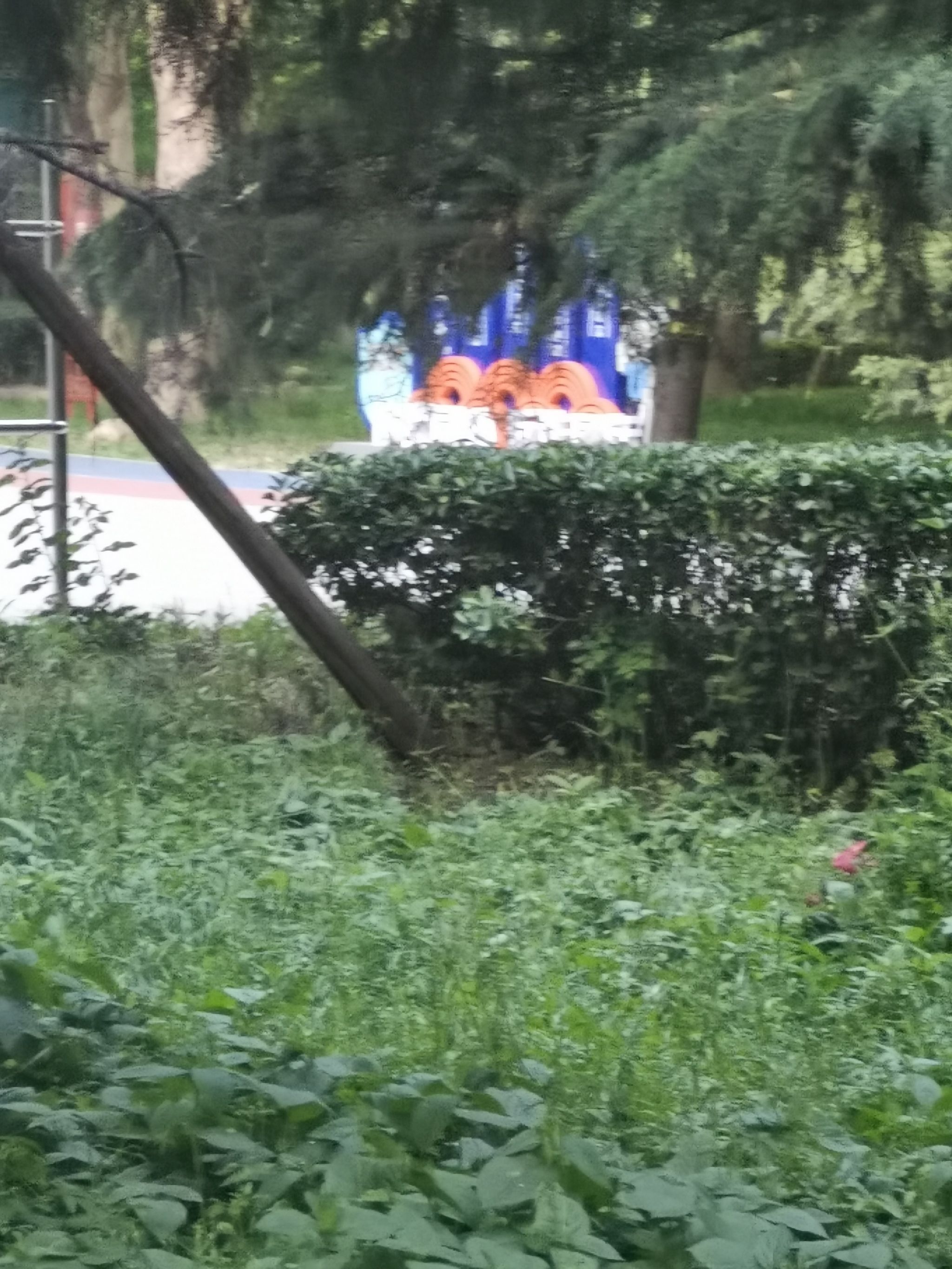 石刻园旅行图片 3