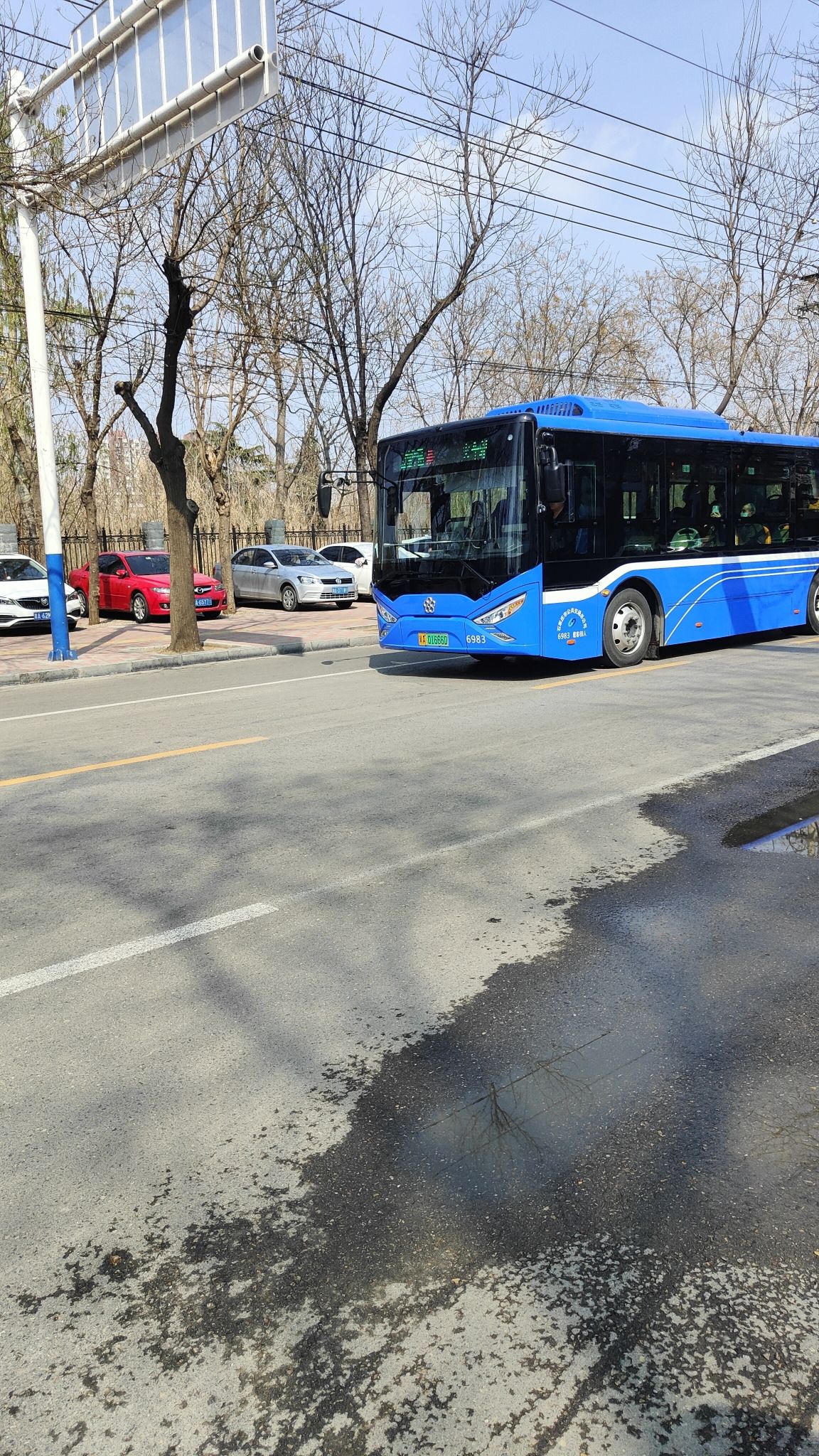 石刻园旅行图片 2