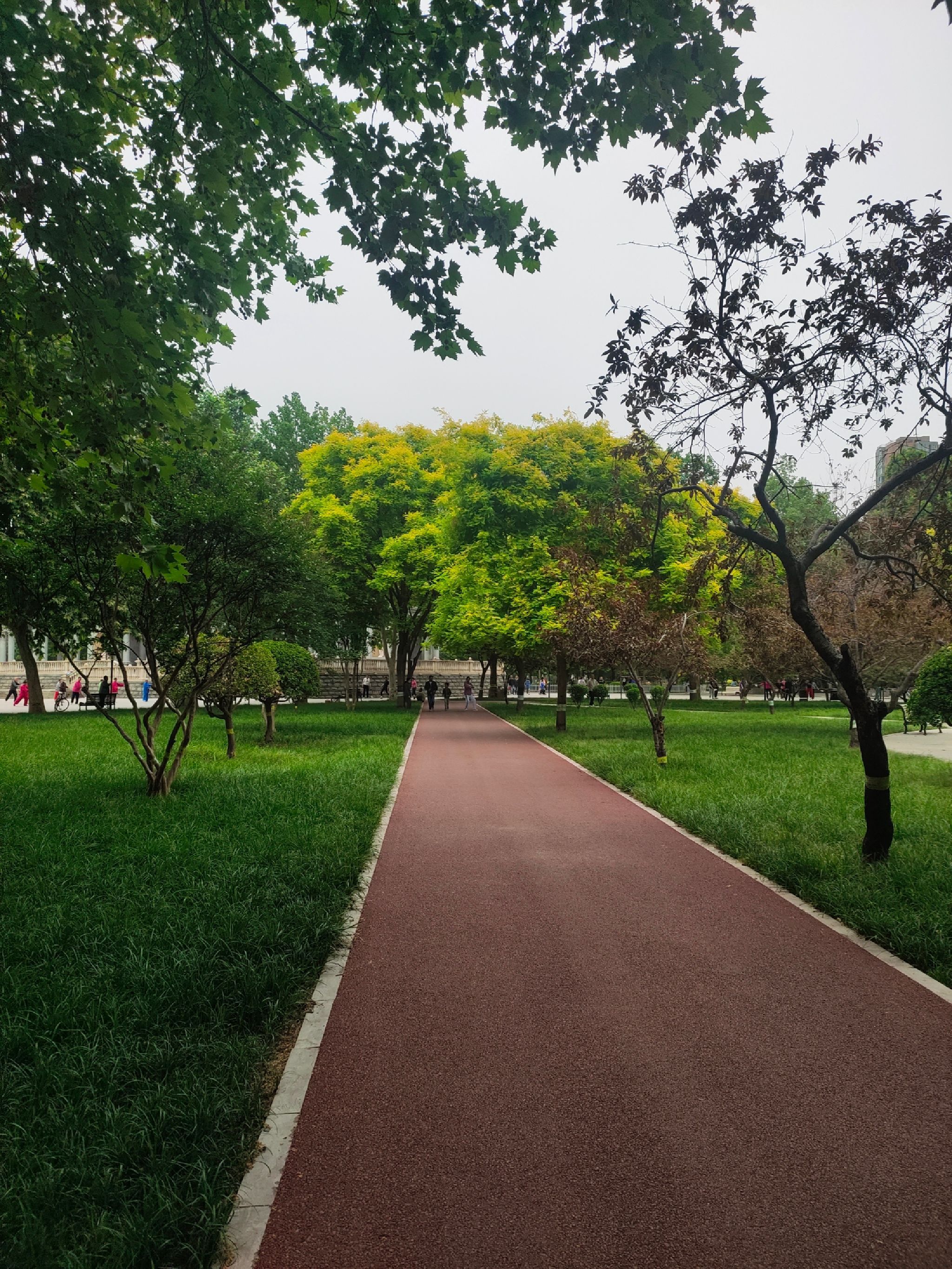 欧韵公园旅行图片 2