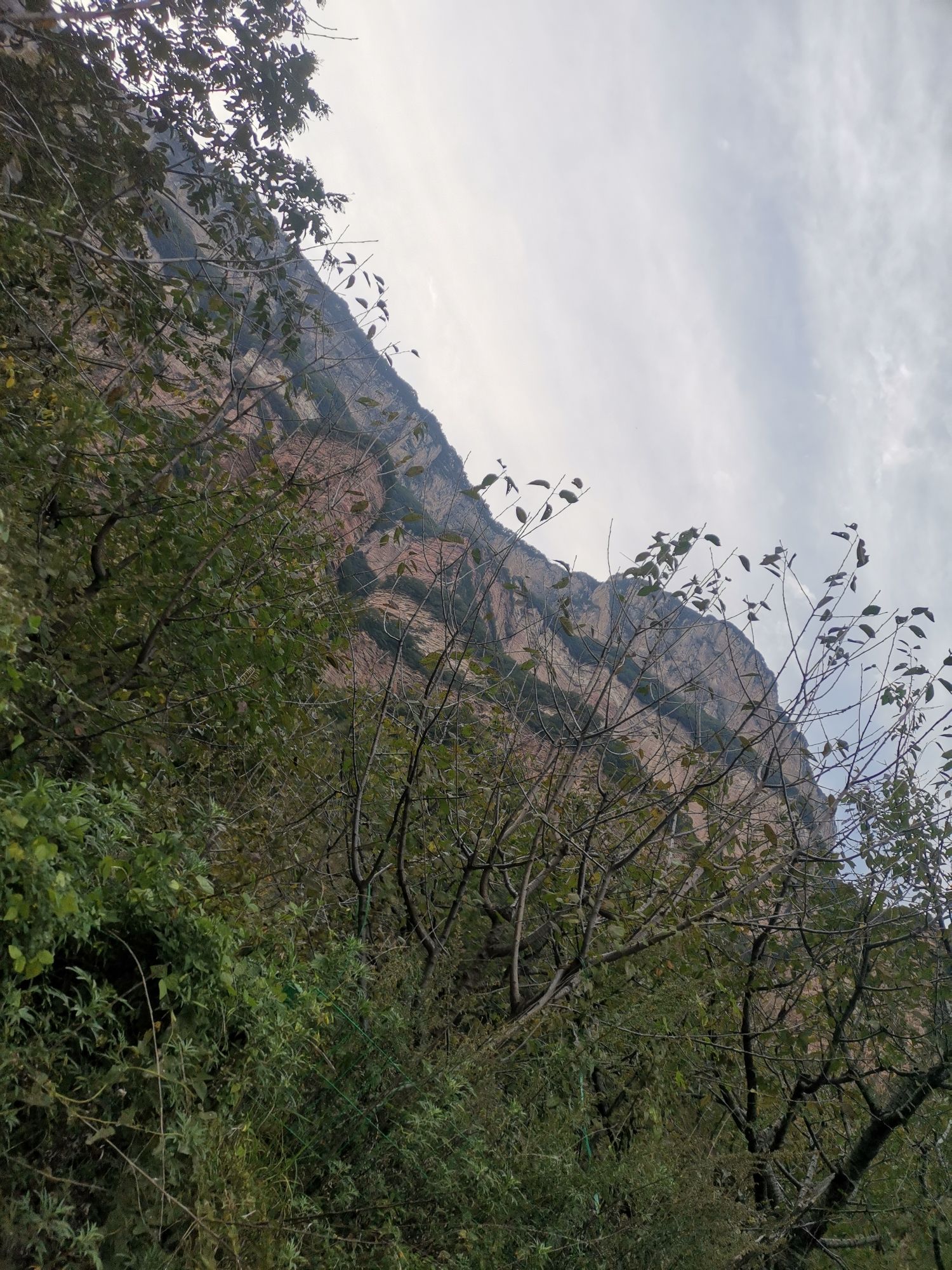 嶂石岩风景名胜区旅行图片 1
